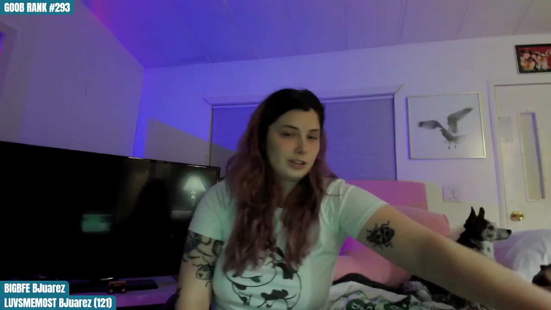 Gallery image thumbnail from ToniTigresse's myfreecams stream on, 11/06/2024, 02:44 image 14 of 20