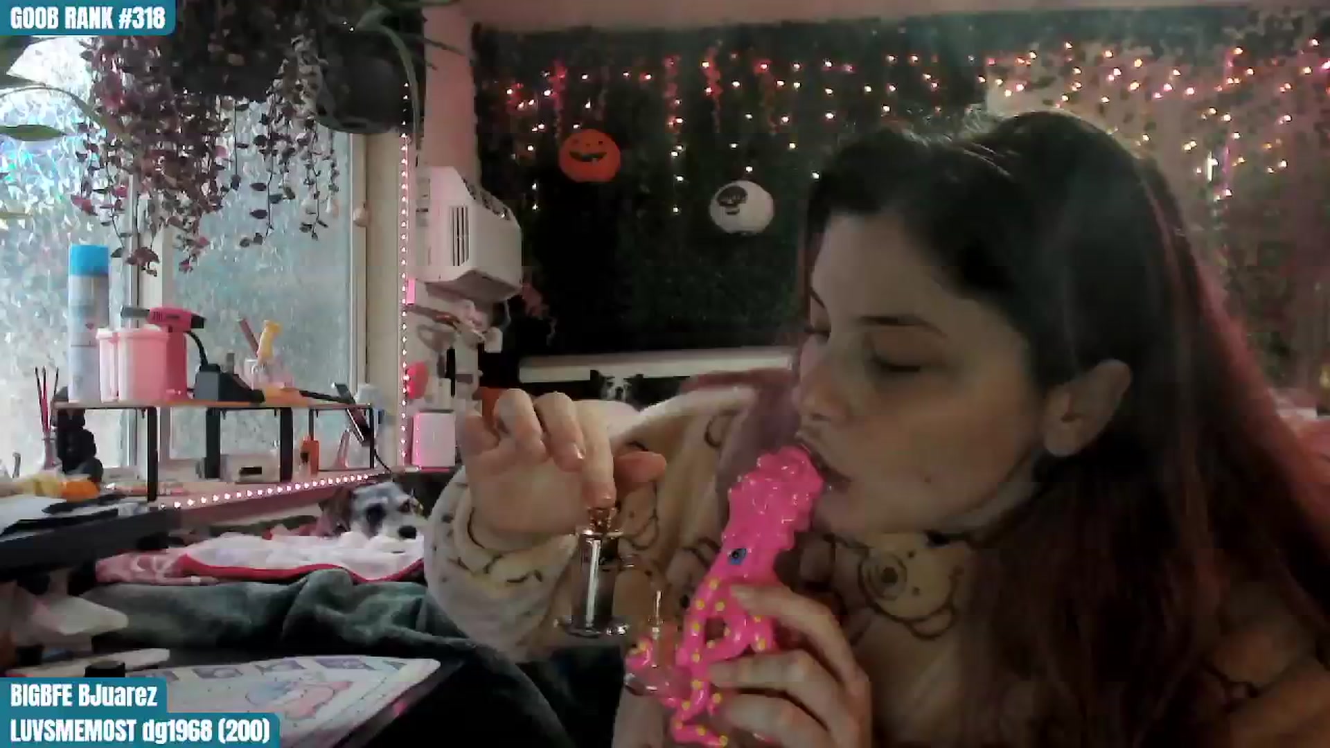 Gallery image thumbnail from ToniTigresse's myfreecams stream on, 11/07/2024, 24:46 image 19 of 20