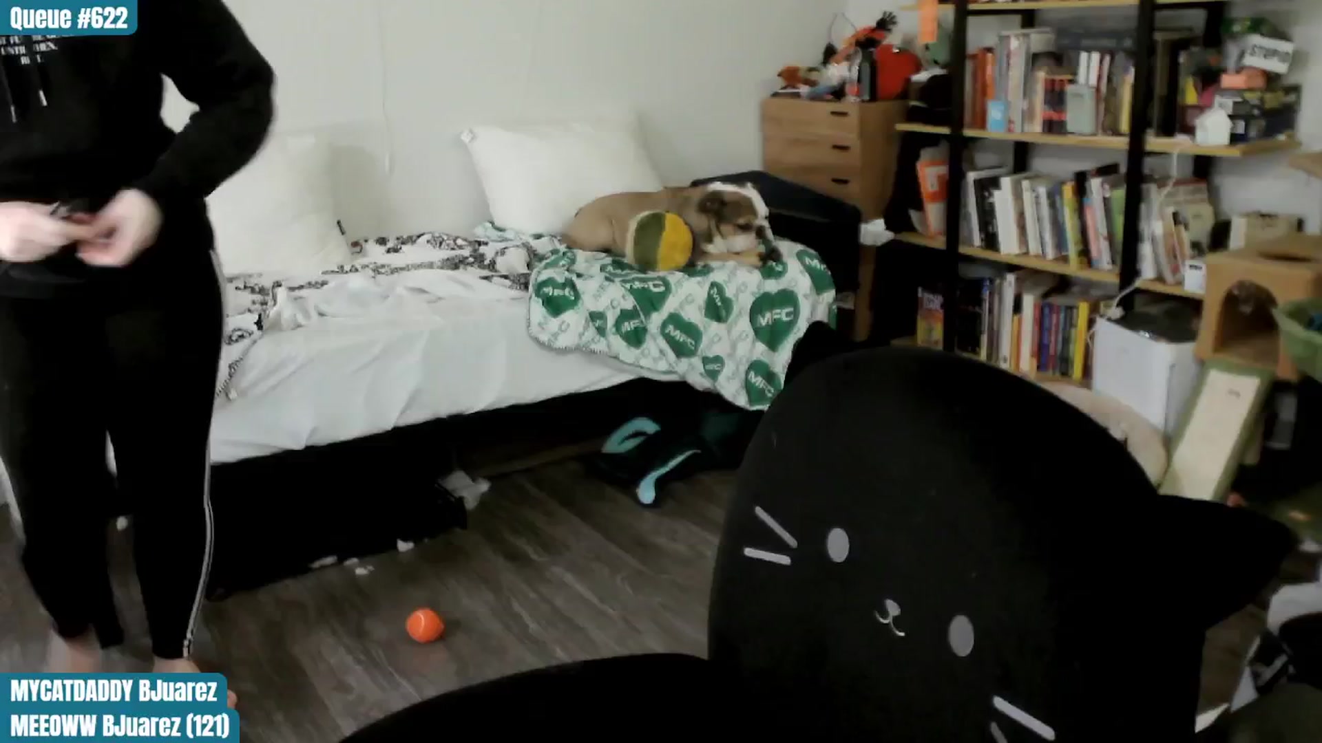 Gallery image thumbnail from ToniTigresse's myfreecams stream on, 11/27/2024, 01:28 image 13 of 20