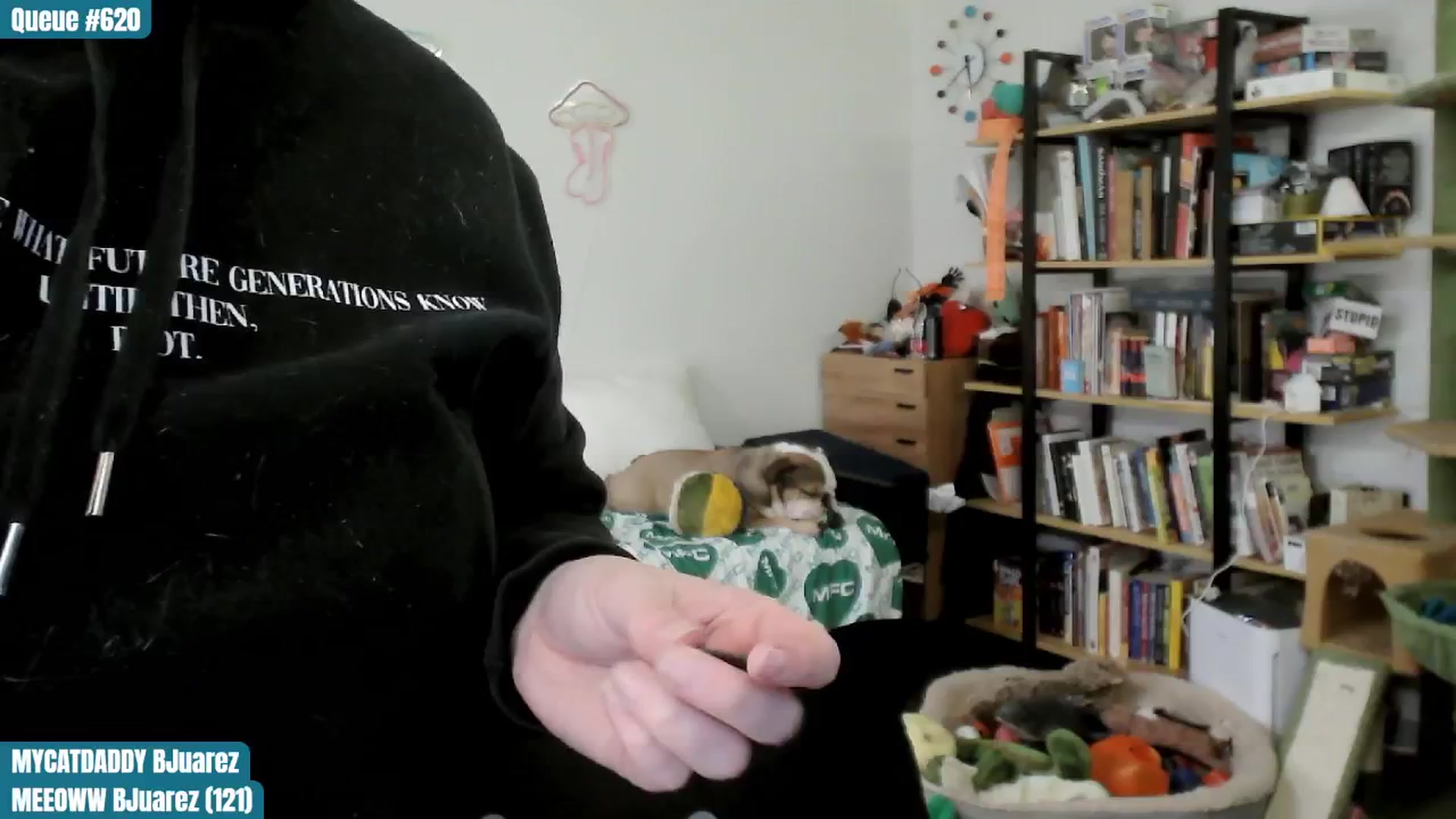 Gallery image thumbnail from ToniTigresse's myfreecams stream on, 11/27/2024, 01:28 image 19 of 20