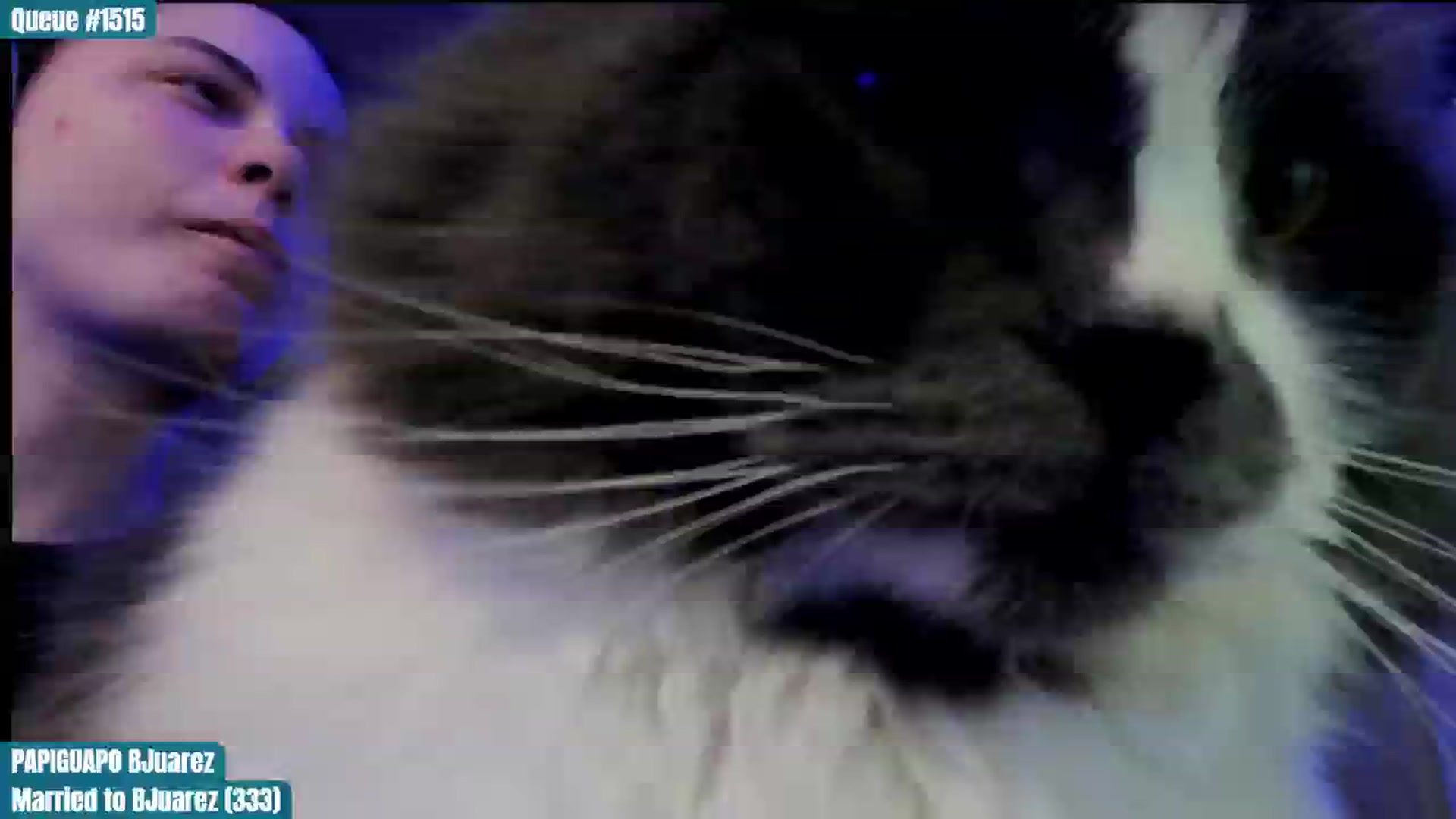 Gallery image thumbnail from ToniTigresse's myfreecams stream on, 01/29/2025, 02:51 image 18 of 20