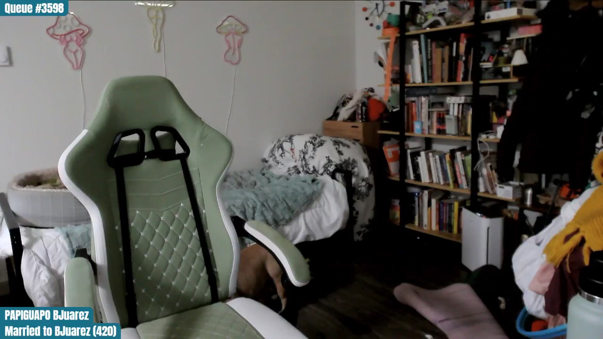 Gallery image thumbnail from ToniTigresse's myfreecams stream on, 02/06/2025, 02:01 image 19 of 20