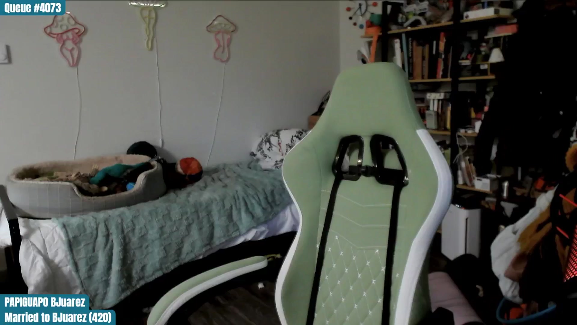 Gallery image thumbnail from ToniTigresse's myfreecams stream on, 02/06/2025, 02:01 image 13 of 20