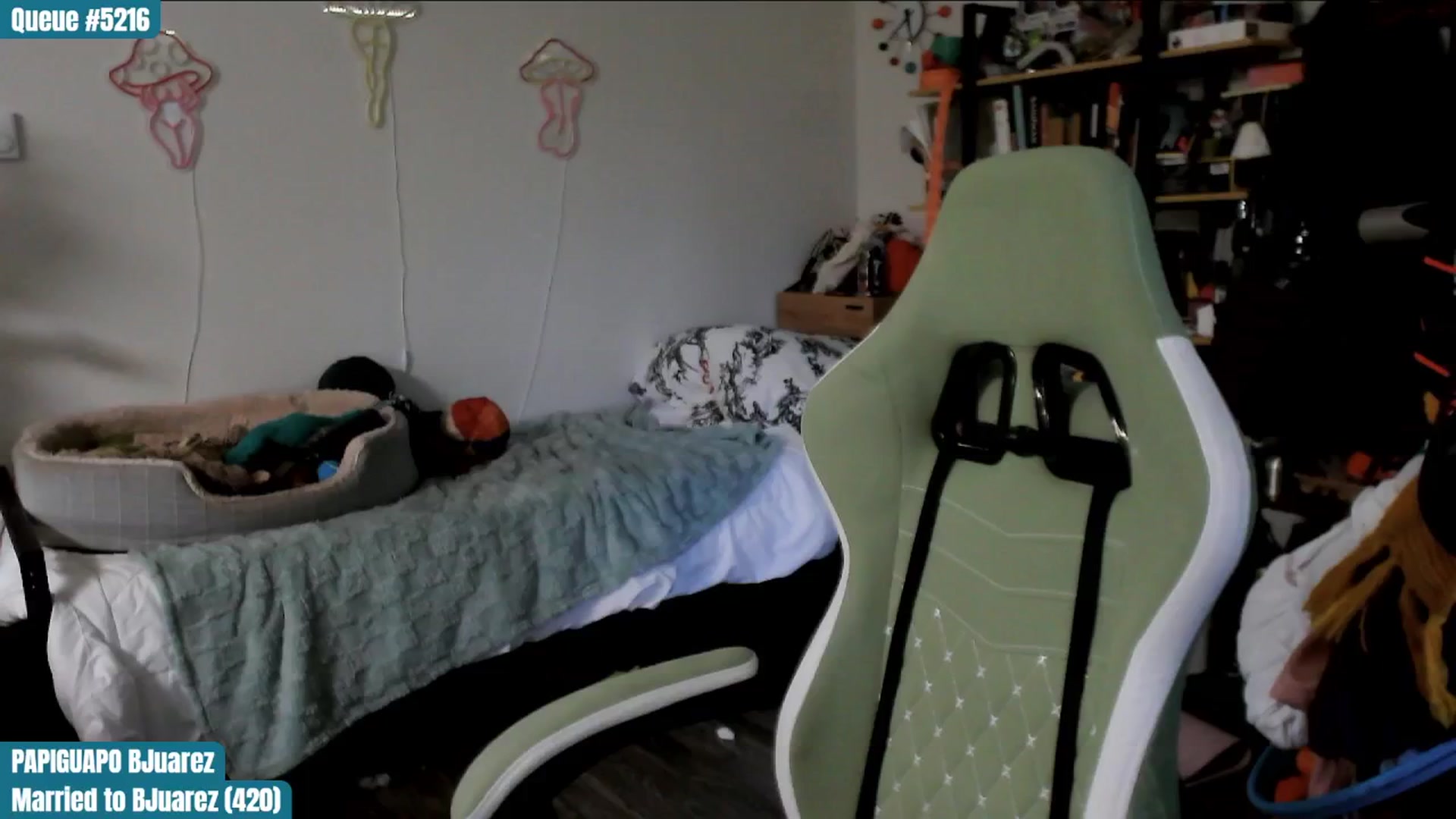 Gallery image thumbnail from ToniTigresse's myfreecams stream on, 02/06/2025, 02:01 image 5 of 20
