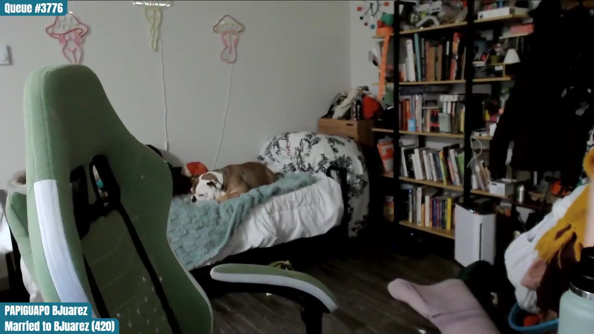 Gallery image thumbnail from ToniTigresse's myfreecams stream on, 02/06/2025, 02:01 image 18 of 20