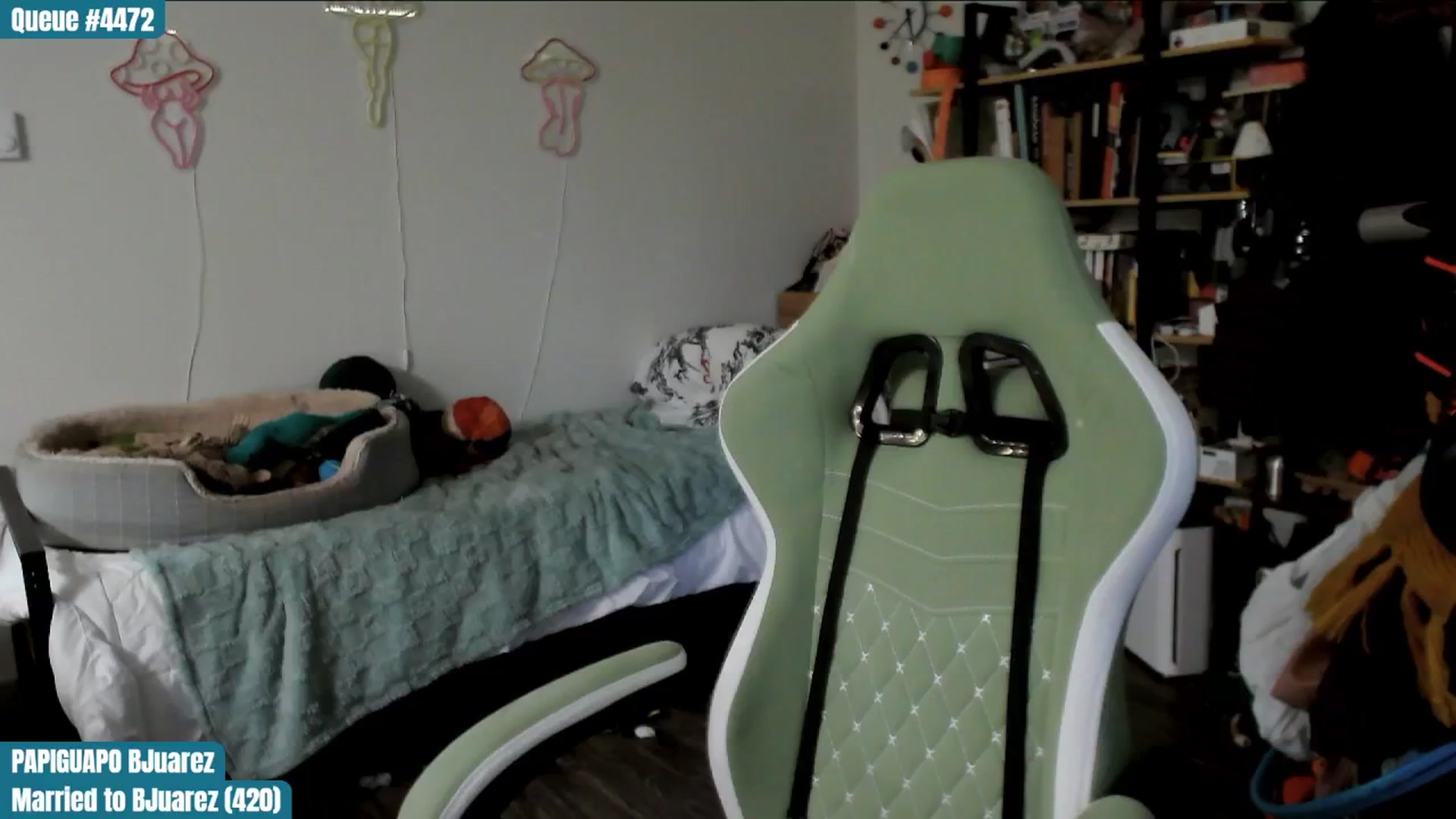 Gallery image thumbnail from ToniTigresse's myfreecams stream on, 02/06/2025, 02:01 image 9 of 20