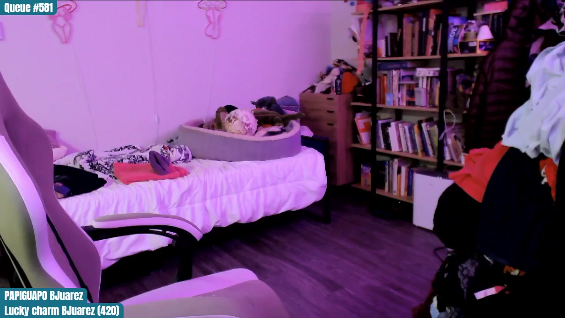 Gallery image thumbnail from ToniTigresse's myfreecams stream on, 03/05/2025, 03:30 image 17 of 20