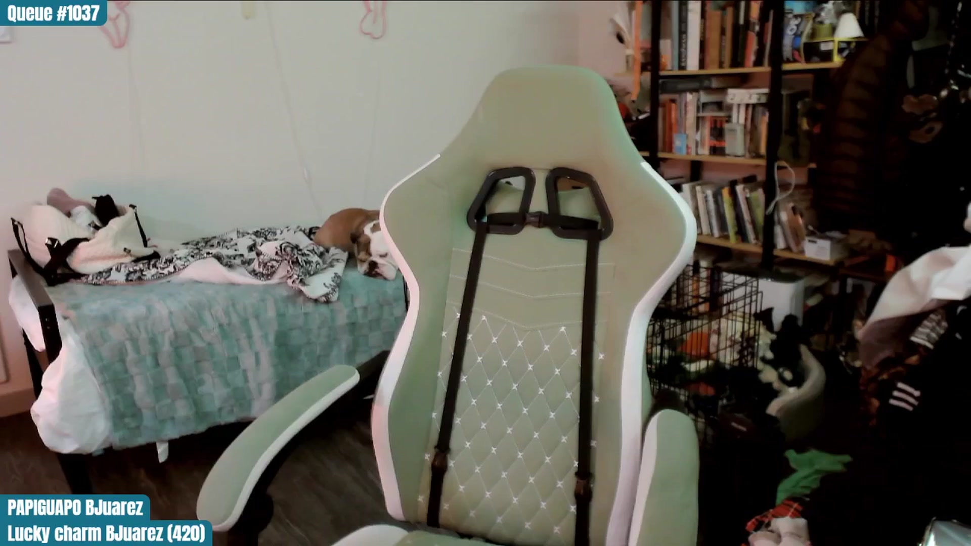 Gallery image thumbnail from ToniTigresse's myfreecams stream on, 03/15/2025, 01:00 image 10 of 20