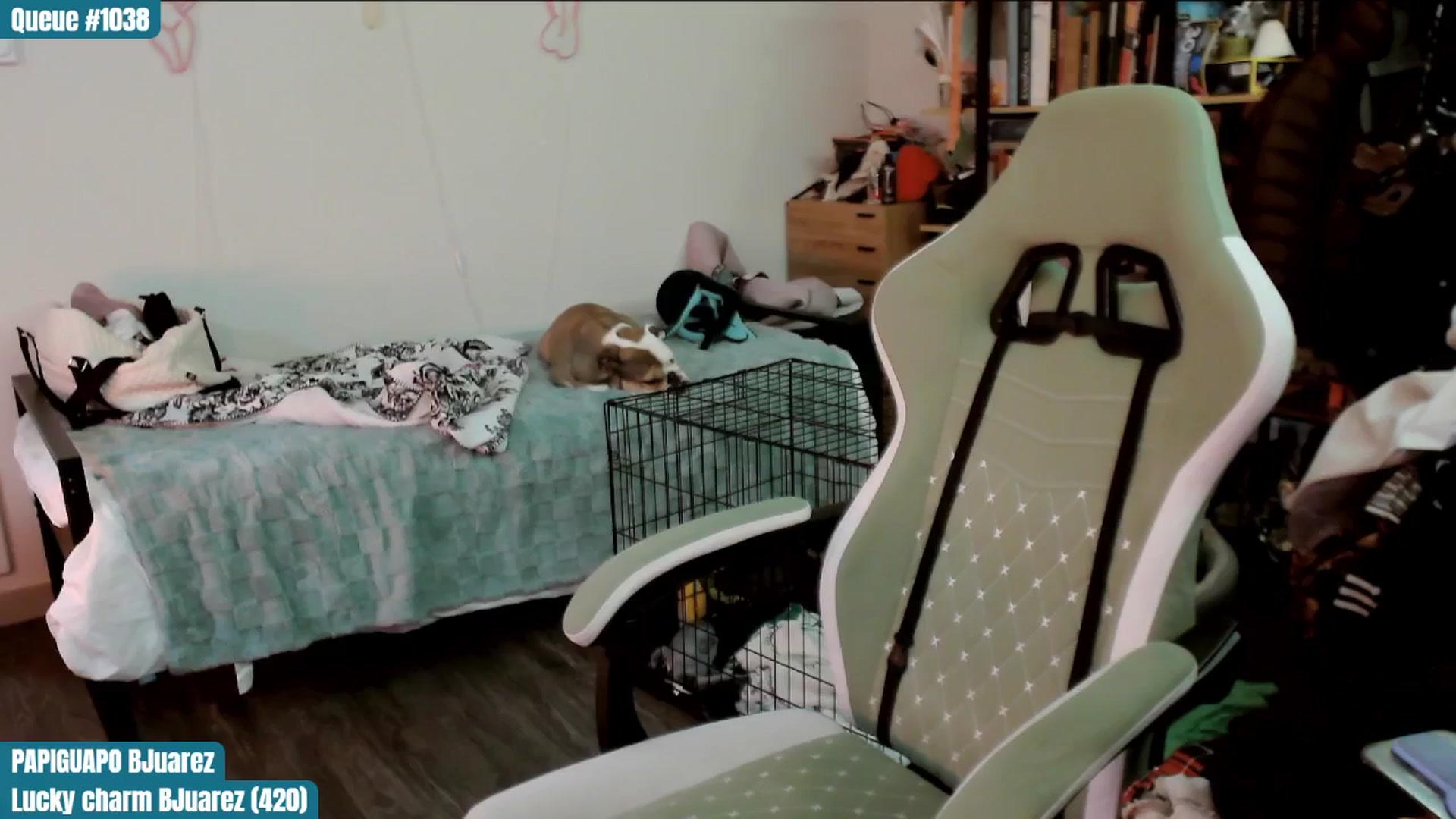 Gallery image thumbnail from ToniTigresse's myfreecams stream on, 03/15/2025, 01:00 image 13 of 20