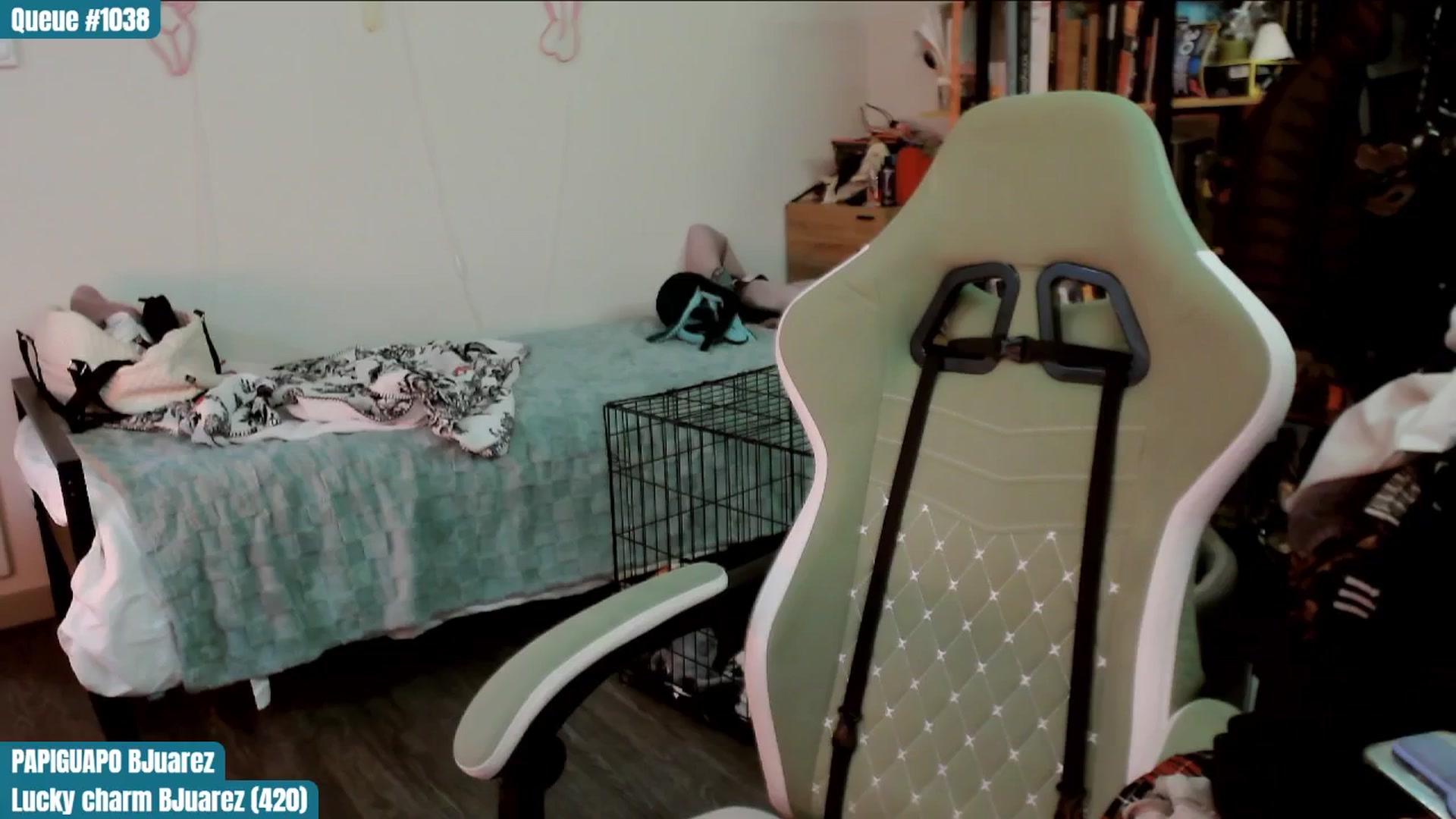 Gallery image thumbnail from ToniTigresse's myfreecams stream on, 03/15/2025, 01:00 image 16 of 20