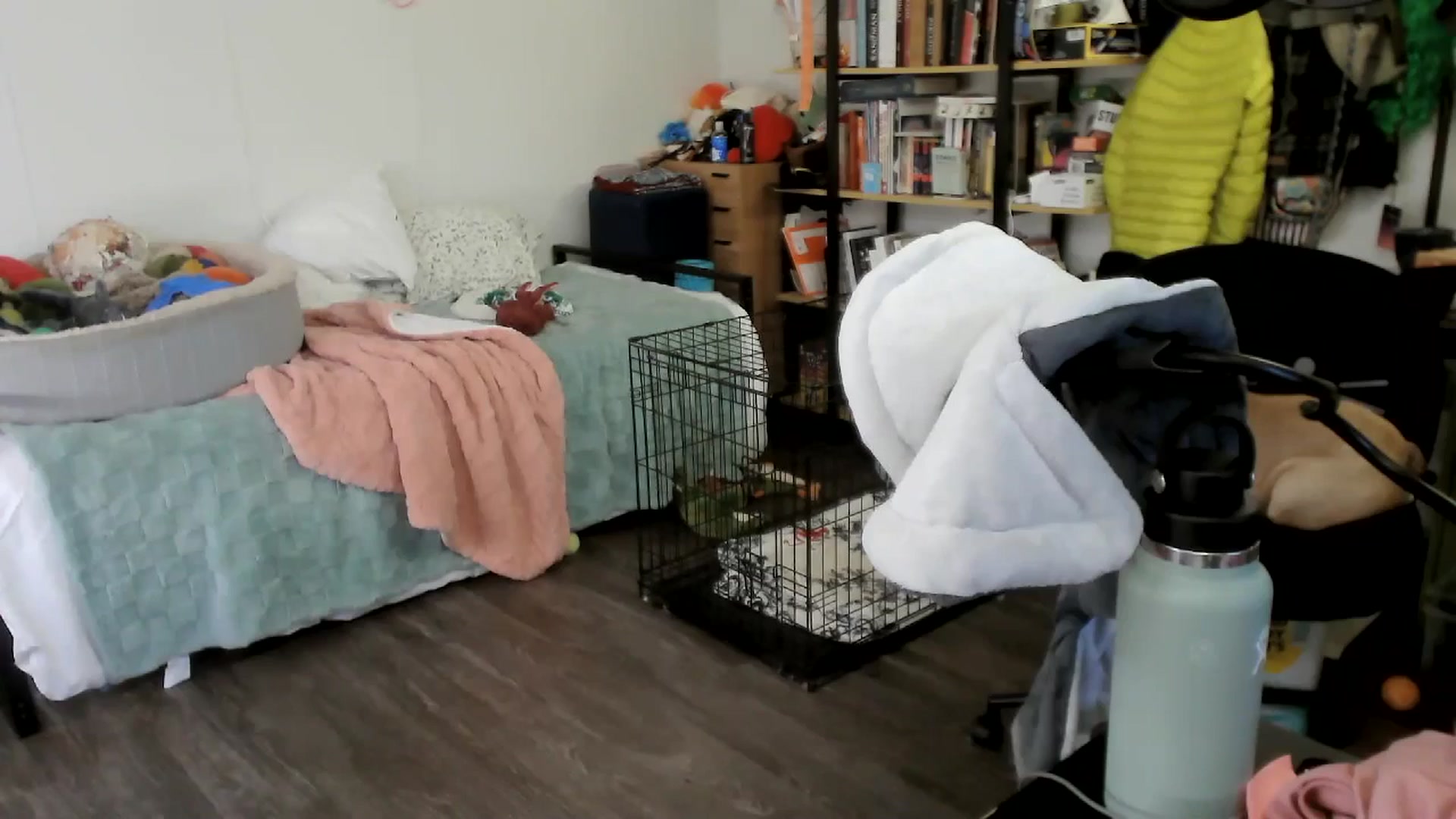 Gallery image thumbnail from ToniTigresse's myfreecams stream on, 05/20/2025, 02:13 image 13 of 20