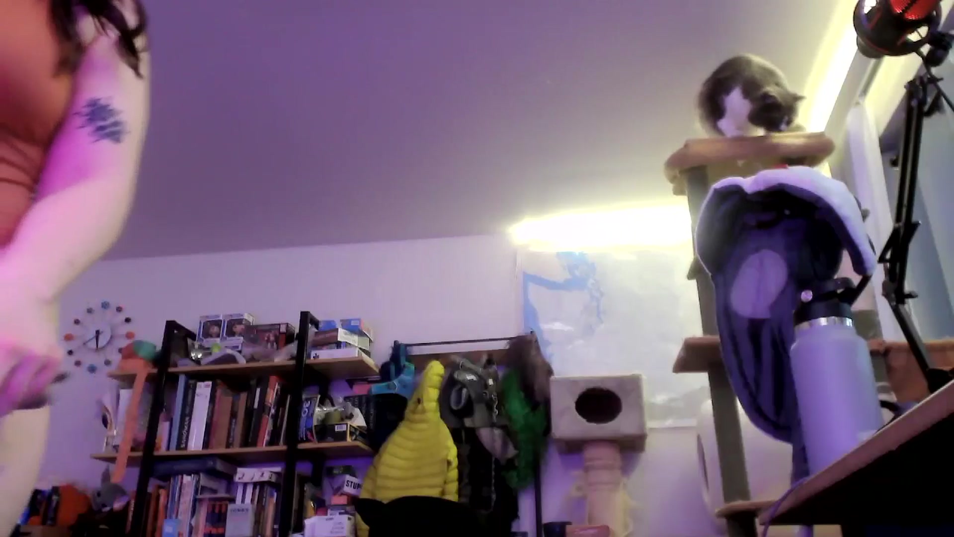 Gallery image thumbnail from ToniTigresse's myfreecams stream on, 05/20/2025, 02:13 image 16 of 20