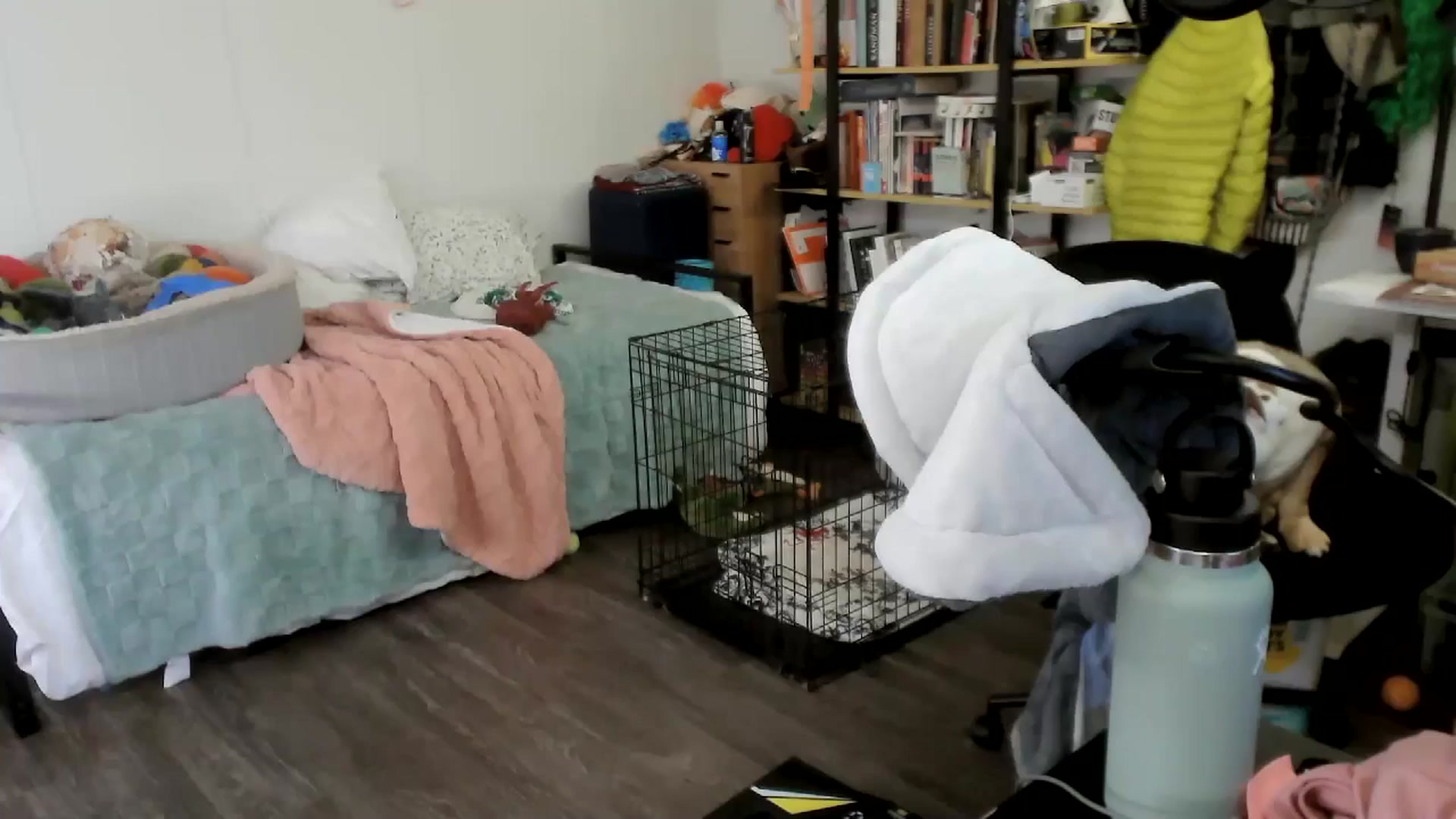 Gallery image thumbnail from ToniTigresse's myfreecams stream on, 05/20/2025, 02:13 image 14 of 20