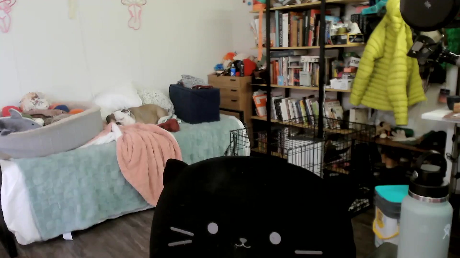 Gallery image thumbnail from ToniTigresse's myfreecams stream on, 05/21/2025, 24:03 image 12 of 20