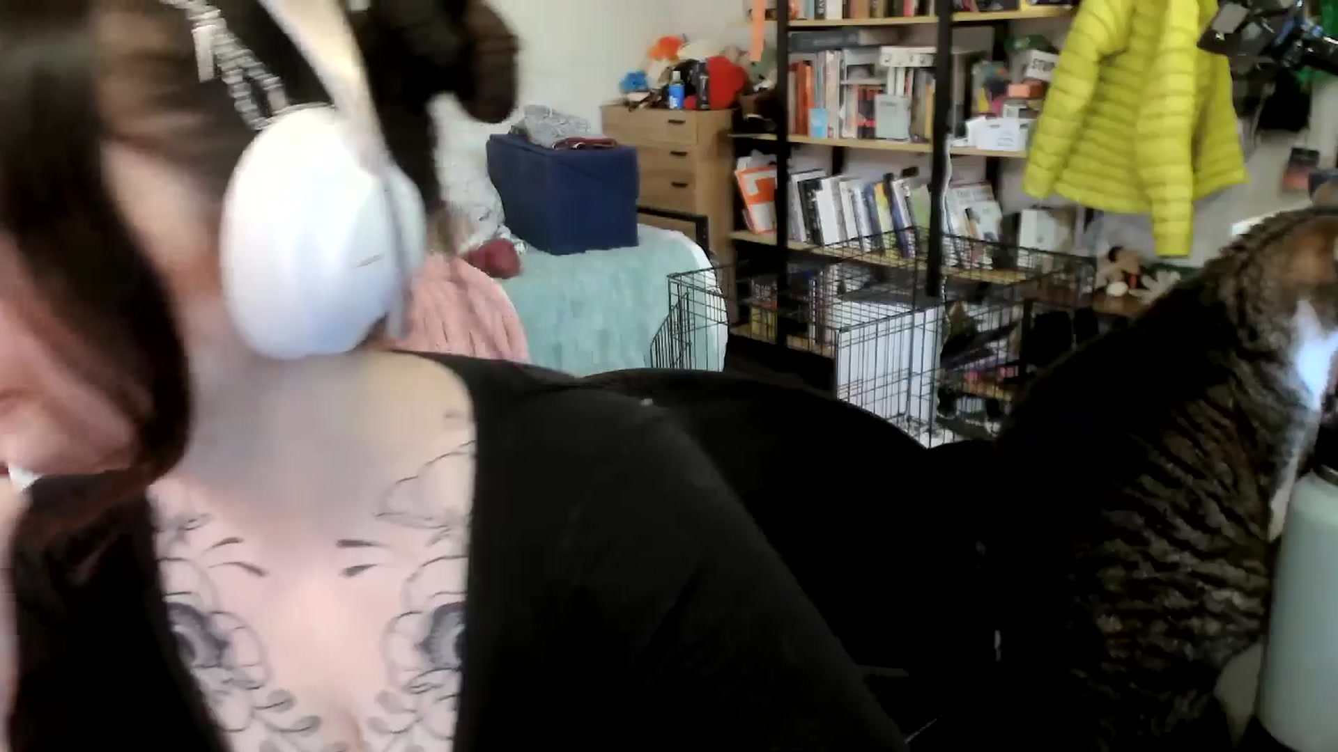 Gallery image thumbnail from ToniTigresse's myfreecams stream on, 05/21/2025, 24:03 image 3 of 20