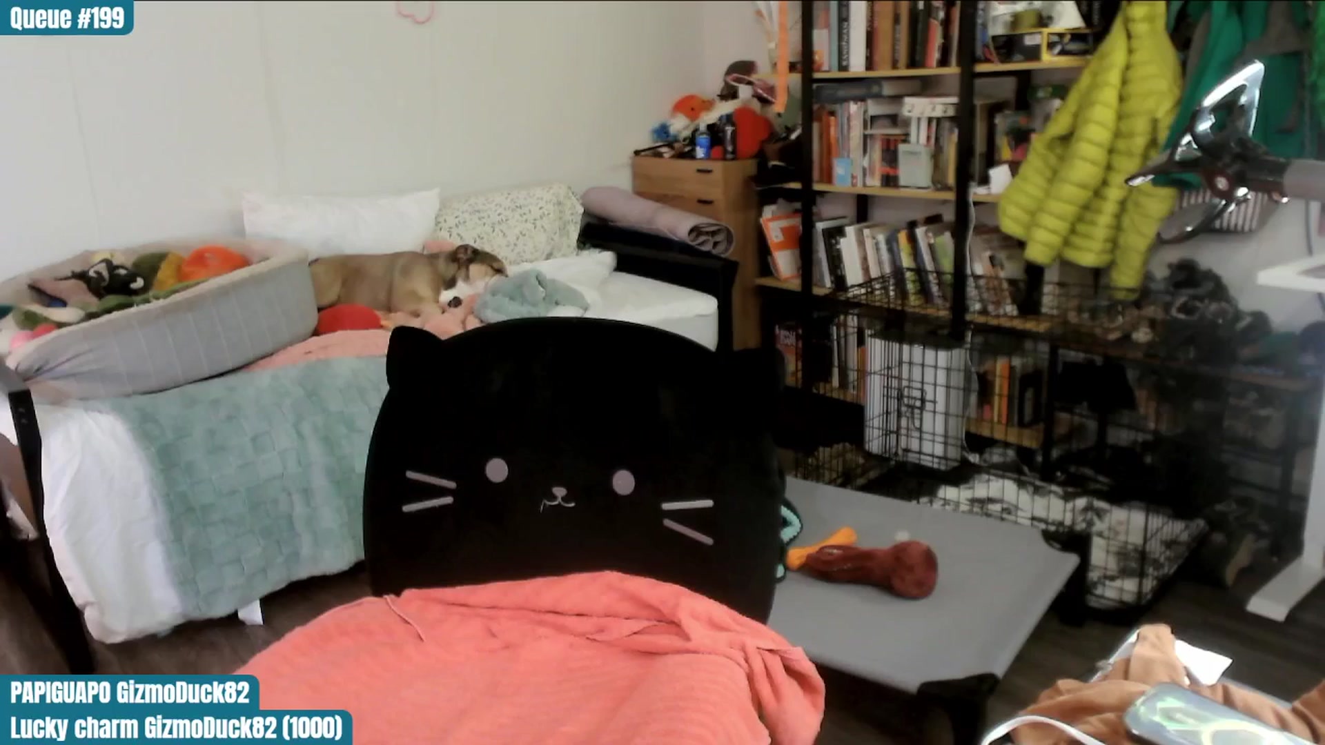 Gallery image thumbnail from ToniTigresse's myfreecams stream on, 06/03/2025, 01:51 image 11 of 20