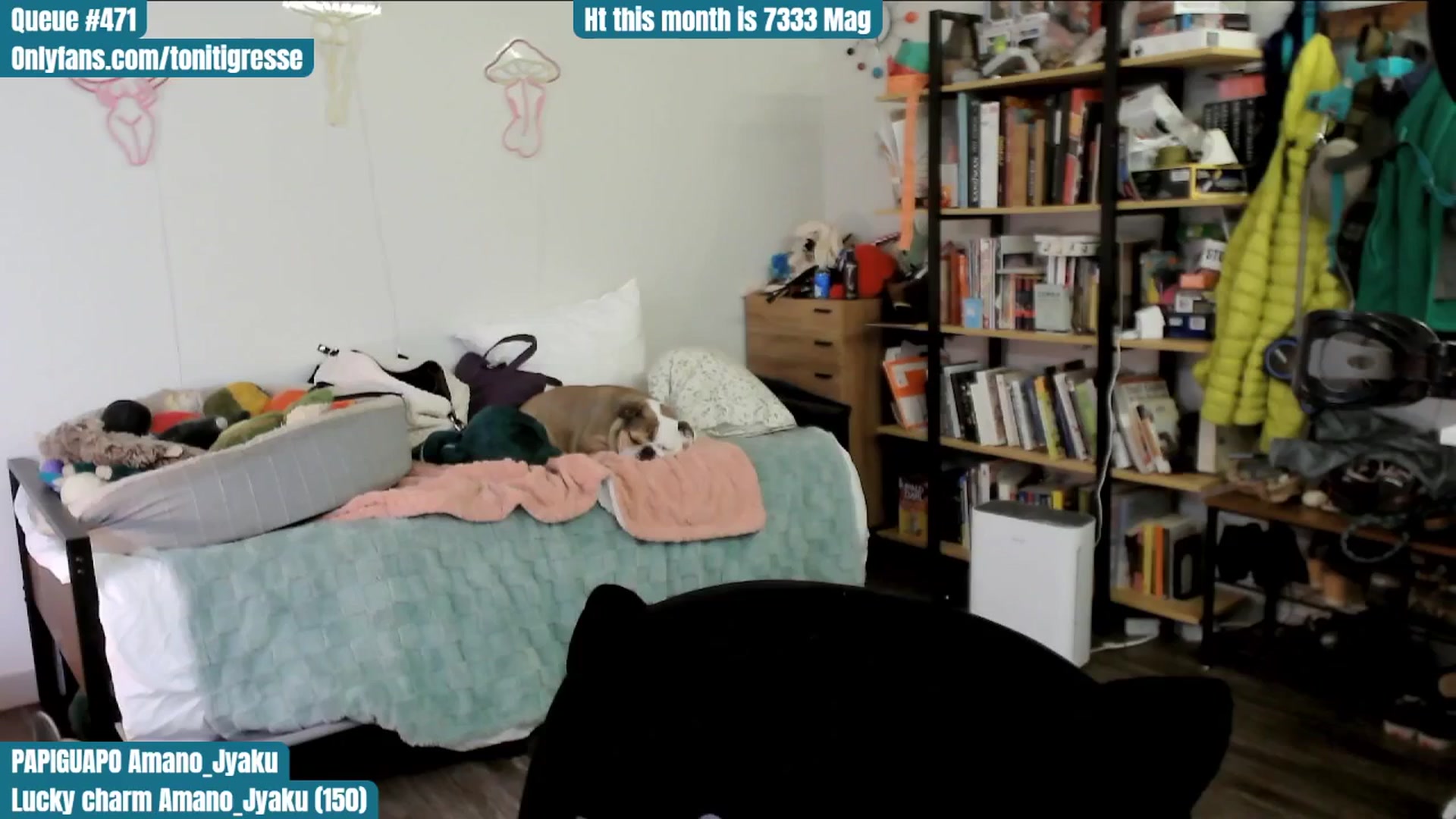 Gallery image thumbnail from ToniTigresse's myfreecams stream on, 06/12/2025, 02:30 image 18 of 20