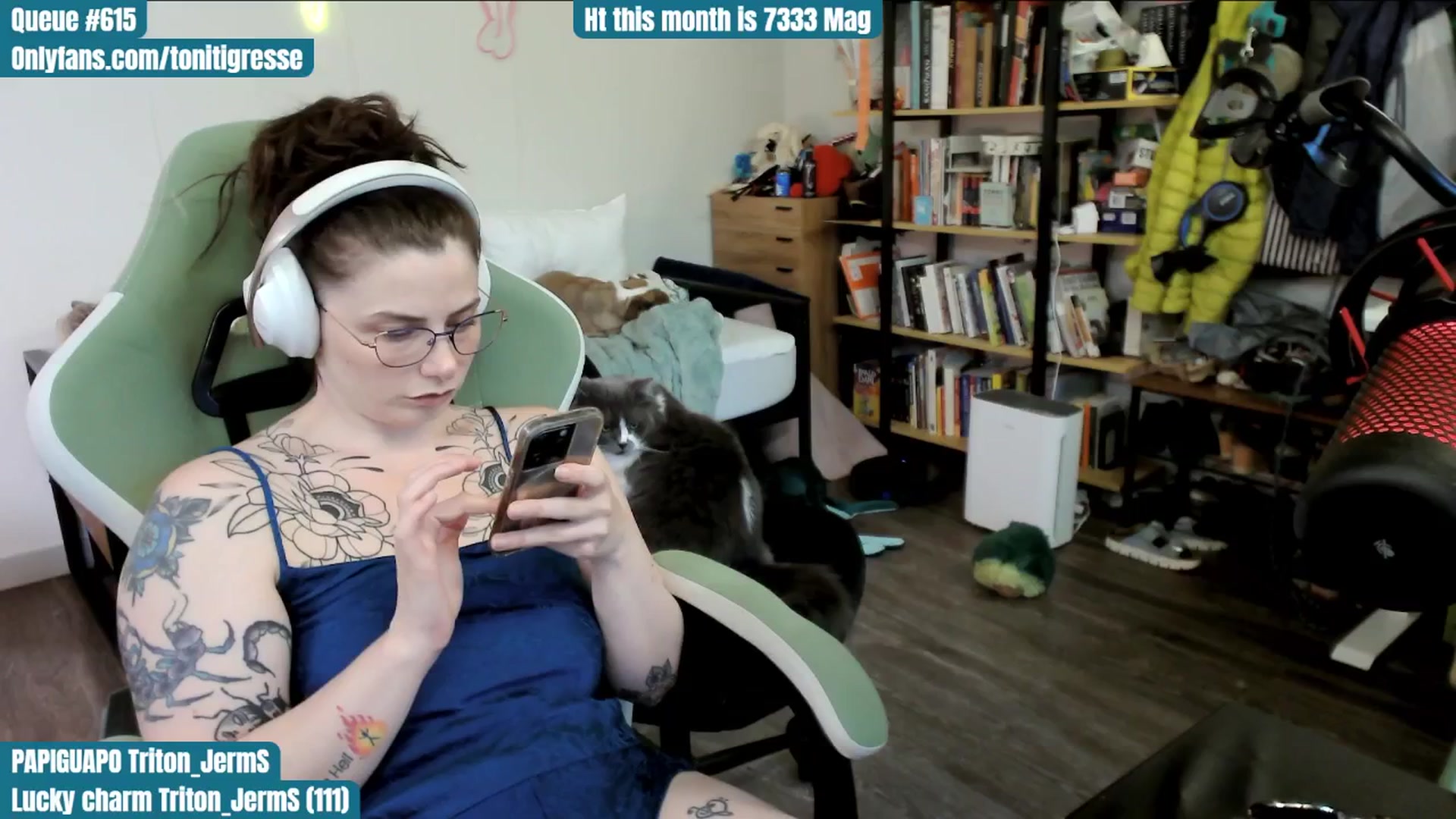 Gallery image thumbnail from ToniTigresse's myfreecams stream on, 06/16/2025, 02:48 image 5 of 20