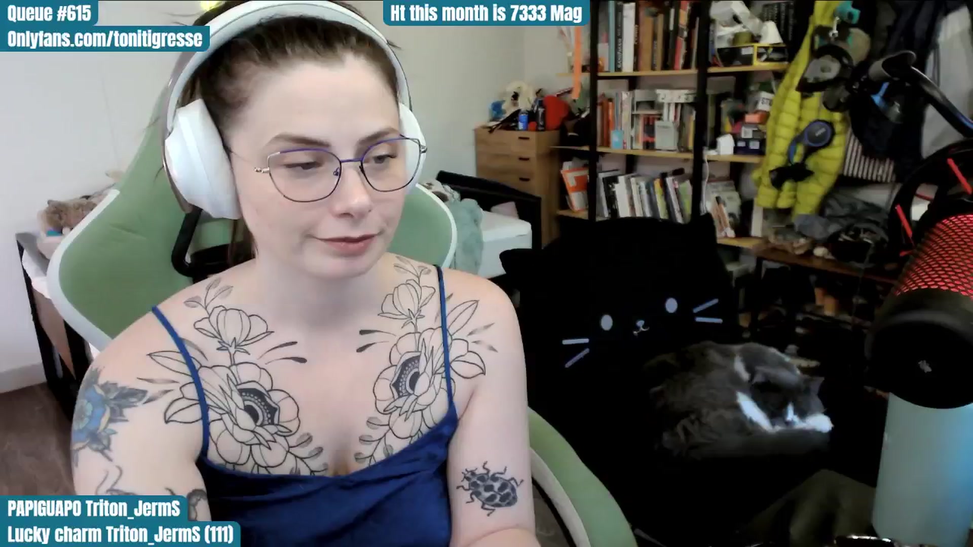 Gallery image thumbnail from ToniTigresse's myfreecams stream on, 06/16/2025, 02:48 image 8 of 20