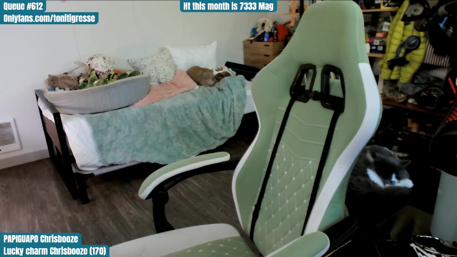 Gallery image thumbnail from ToniTigresse's myfreecams stream on, 06/16/2025, 02:48 image 9 of 20