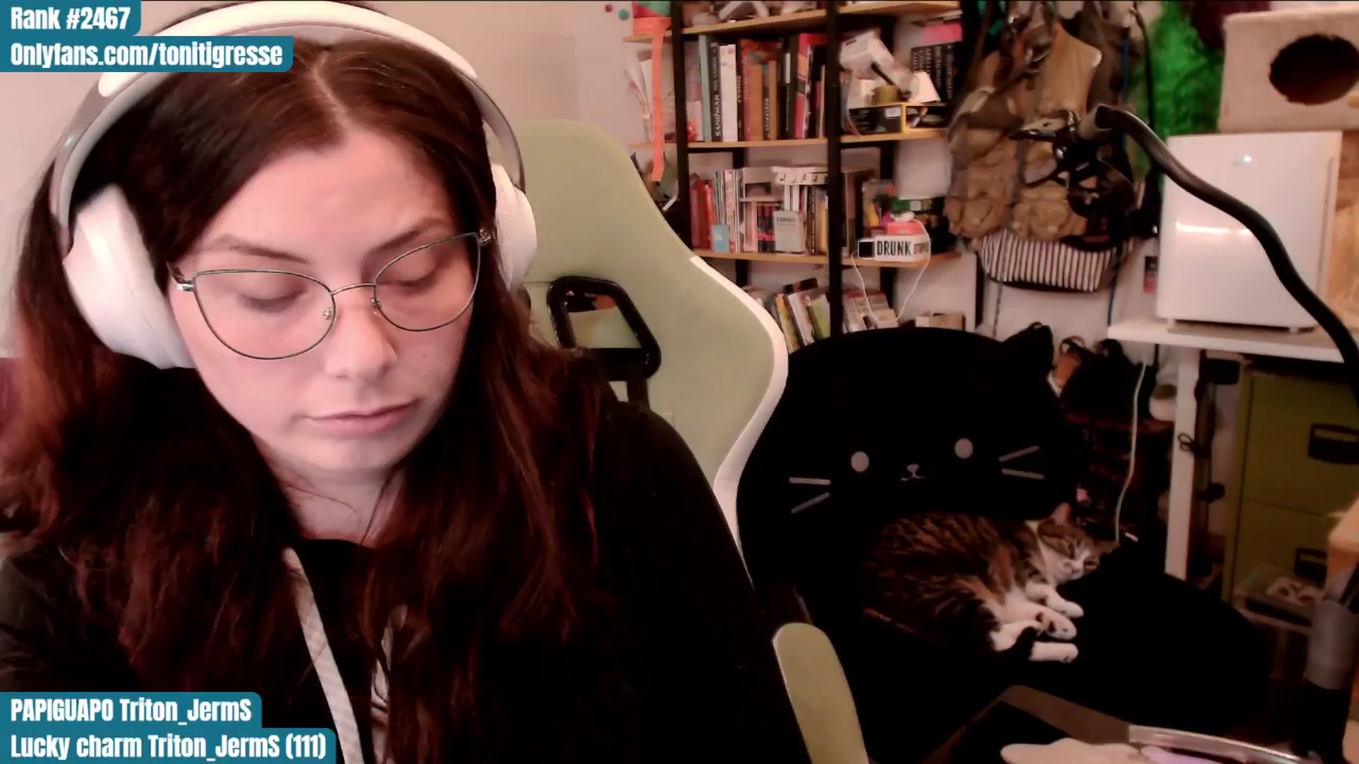 Gallery image thumbnail from ToniTigresse's myfreecams stream on, 07/10/2025, 01:12 image 18 of 20