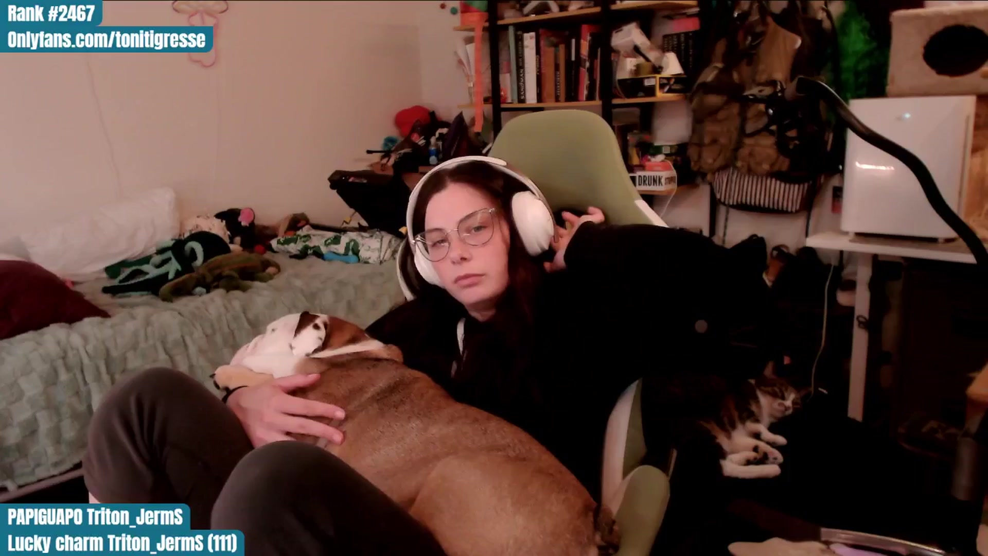 Gallery image thumbnail from ToniTigresse's myfreecams stream on, 07/10/2025, 01:12 image 17 of 20