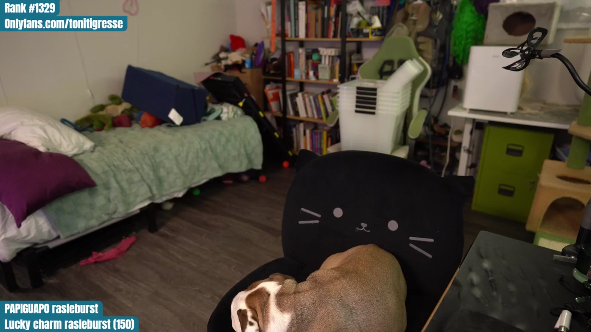 Gallery image thumbnail from ToniTigresse's myfreecams stream on, 07/13/2025, 21:44 image 16 of 20