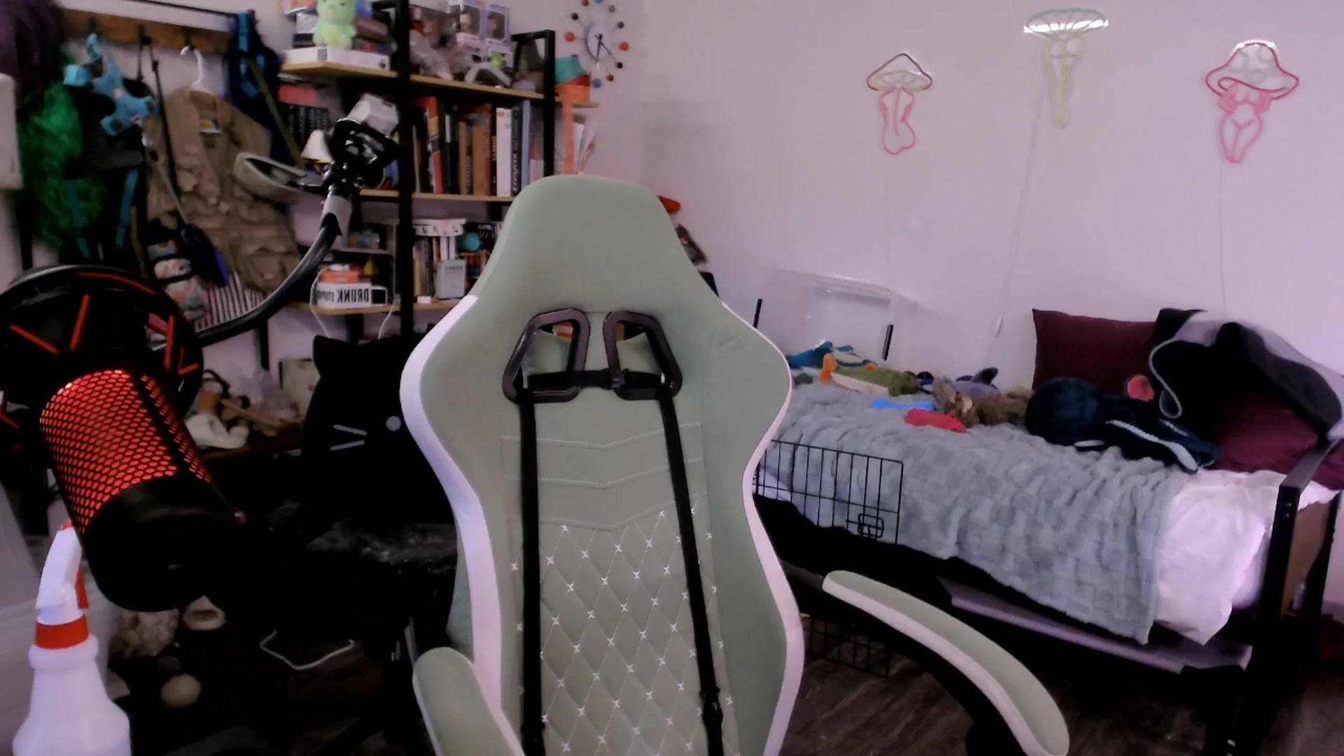 Gallery image thumbnail from ToniTigresse's myfreecams stream on, 07/29/2025, 02:32 image 5 of 20