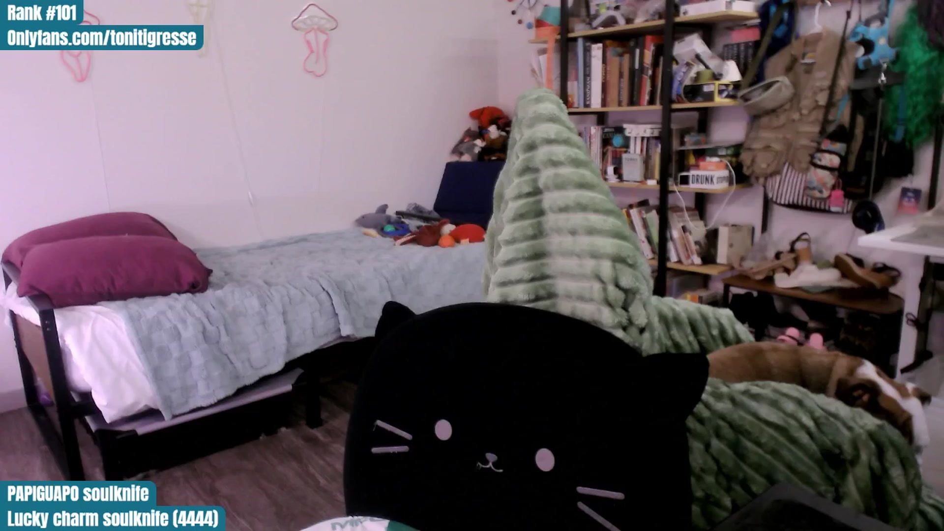Gallery image thumbnail from ToniTigresse's myfreecams stream on, 08/02/2025, 02:03 image 11 of 20