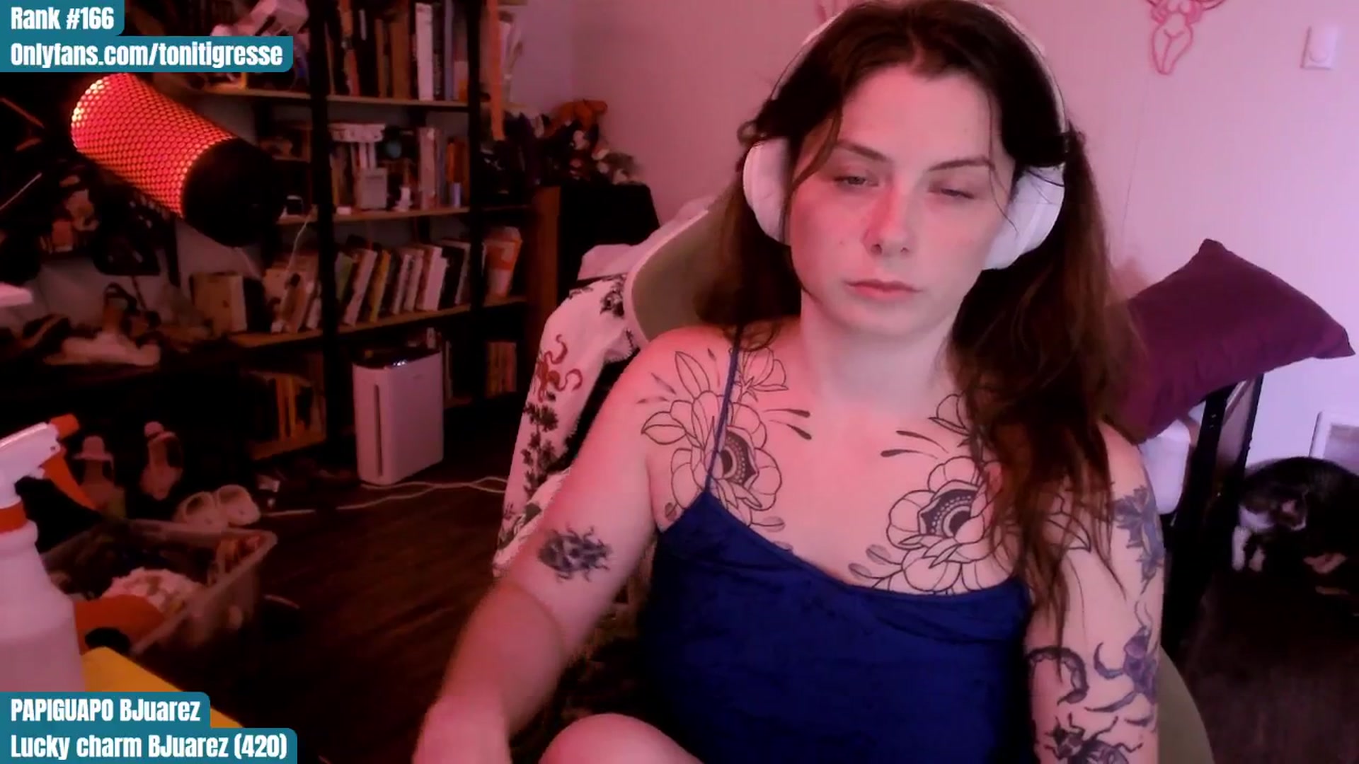 Gallery image thumbnail from ToniTigresse's myfreecams stream on, 08/05/2025, 03:58 image 15 of 20