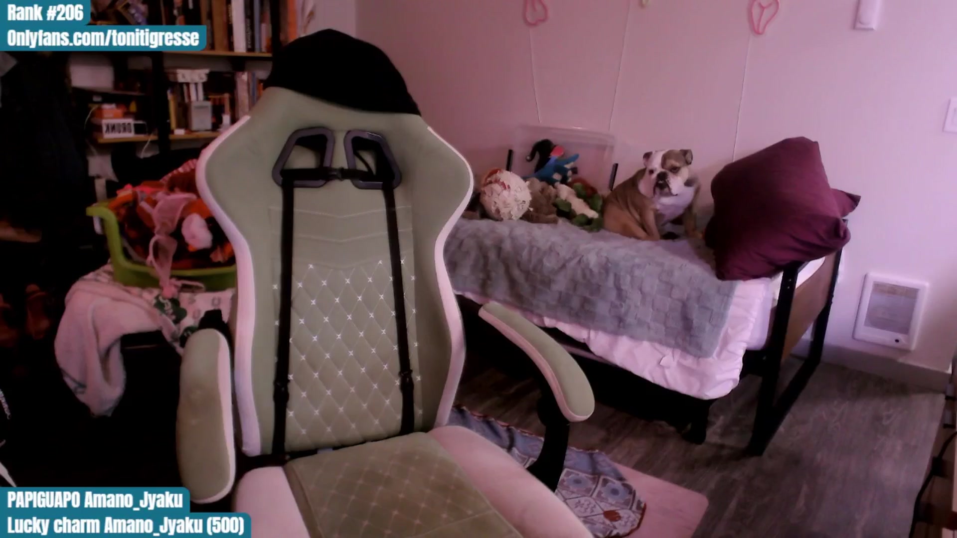 Gallery image thumbnail from ToniTigresse's myfreecams stream on, 08/07/2025, 02:00 image 7 of 20