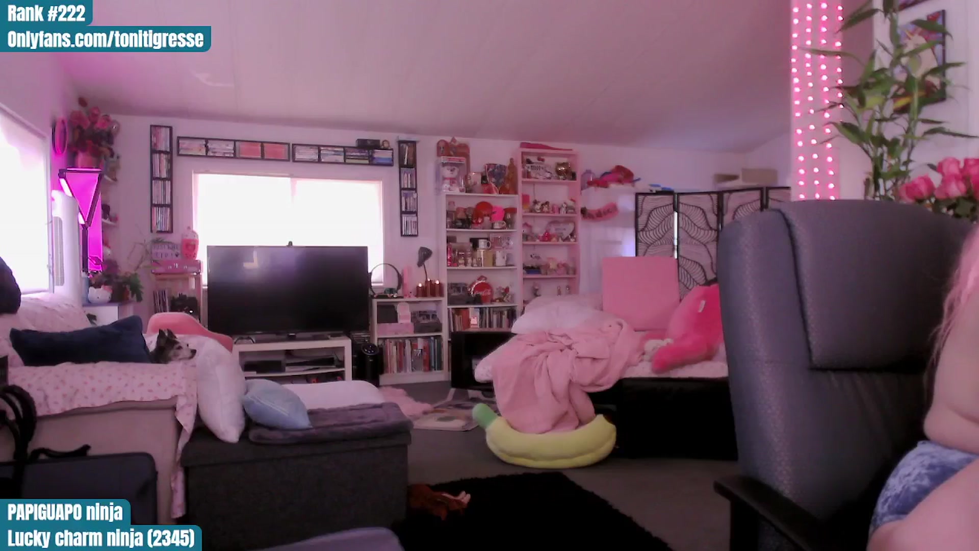 Gallery image thumbnail from ToniTigresse's myfreecams stream on, 08/09/2025, 03:45 image 11 of 20