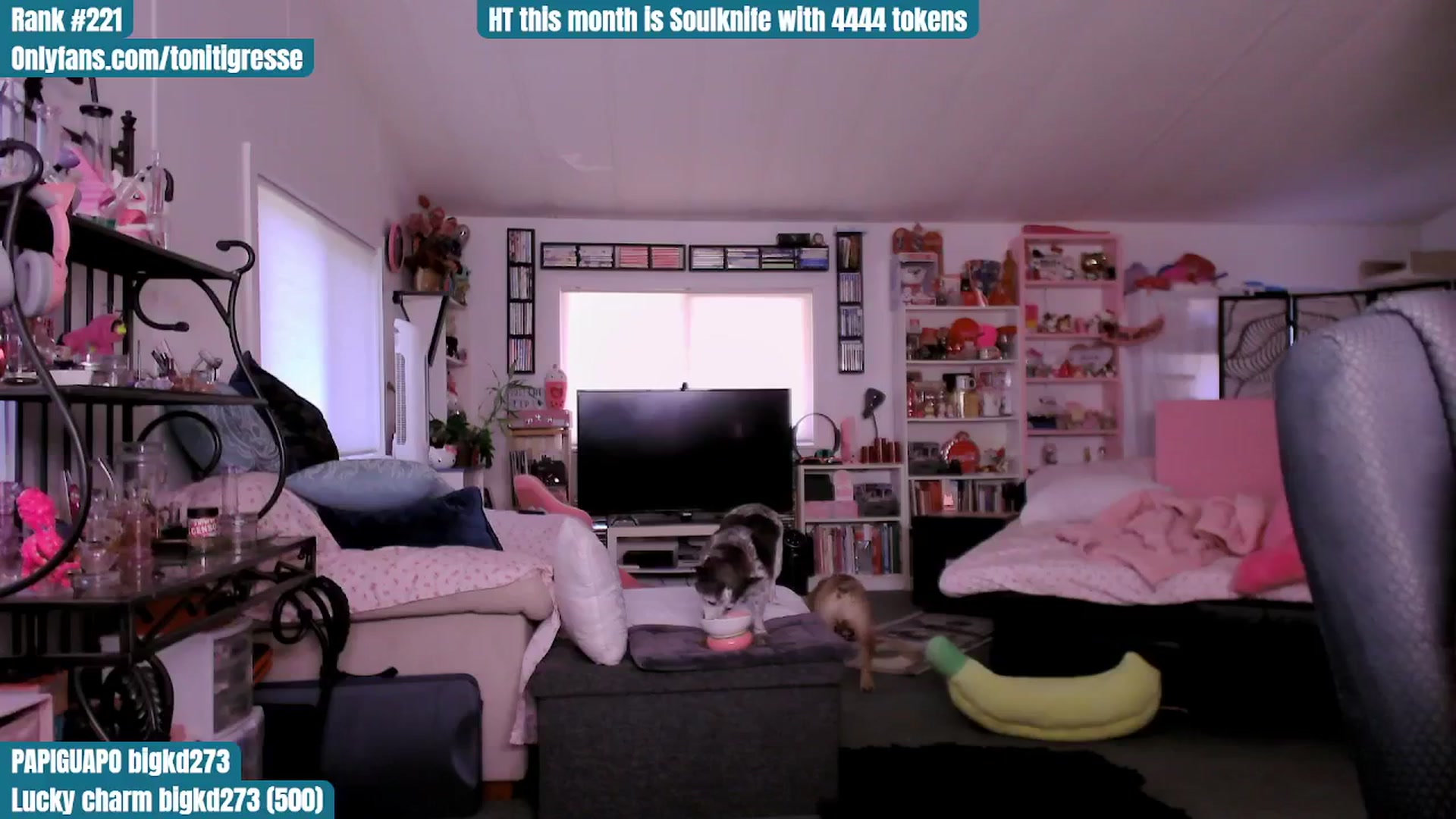 Gallery image thumbnail from ToniTigresse's myfreecams stream on, 08/10/2025, 02:34 image 15 of 20