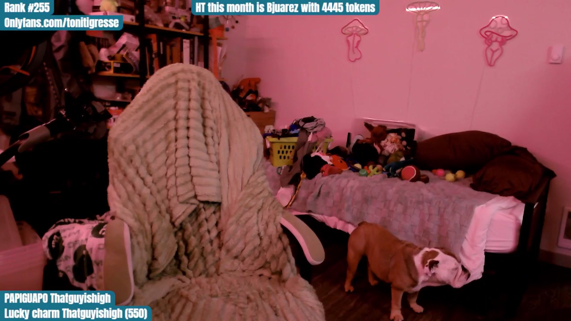 Gallery image thumbnail from ToniTigresse's myfreecams stream on, 08/14/2025, 21:07 image 19 of 20