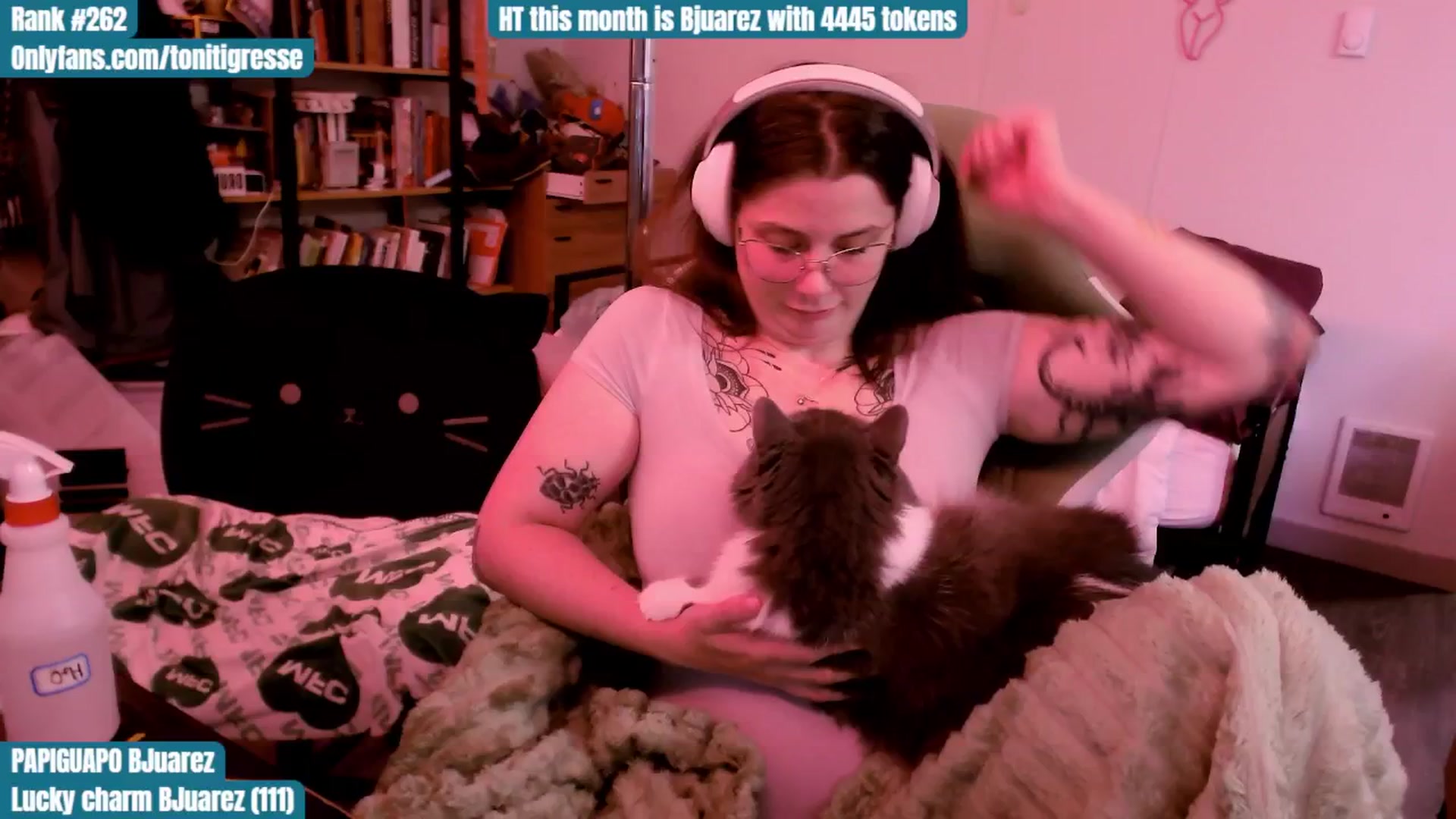 Gallery image thumbnail from ToniTigresse's myfreecams stream on, 08/17/2025, 24:52 image 14 of 20