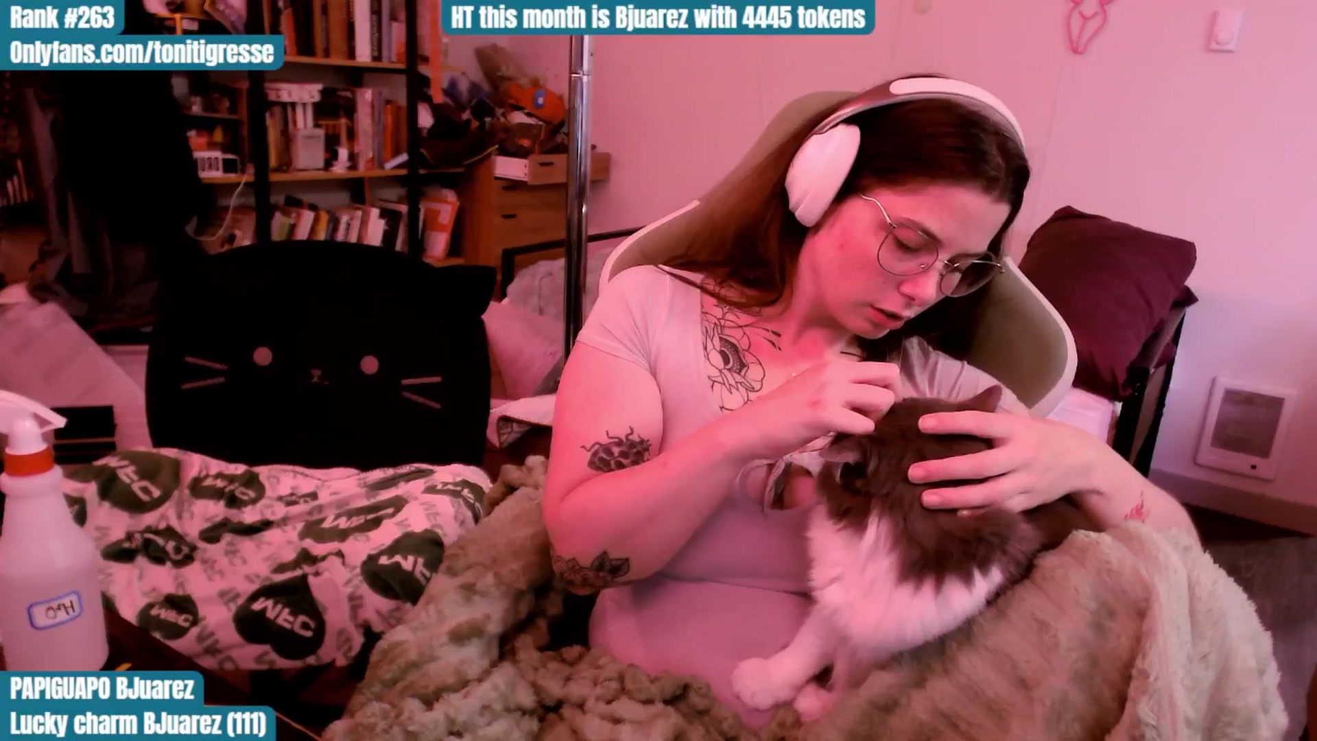 Gallery image thumbnail from ToniTigresse's myfreecams stream on, 08/17/2025, 24:52 image 15 of 20