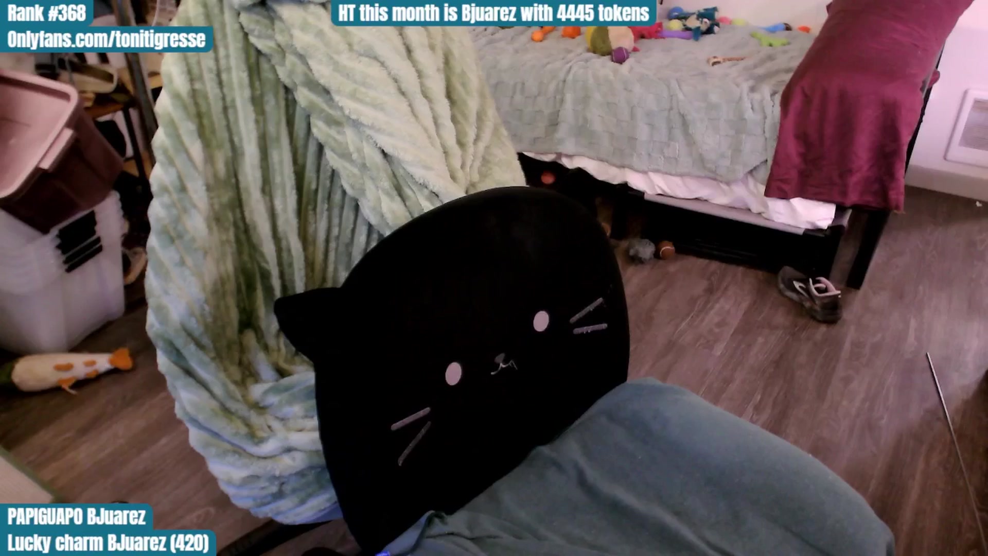 Gallery image thumbnail from ToniTigresse's myfreecams stream on, 08/22/2025, 02:44 image 4 of 20
