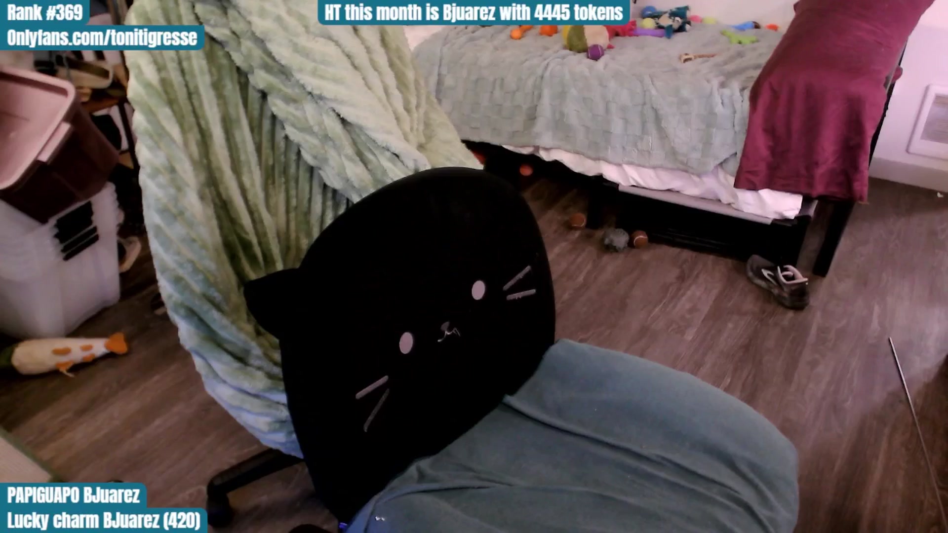 Gallery image thumbnail from ToniTigresse's myfreecams stream on, 08/22/2025, 02:44 image 8 of 20