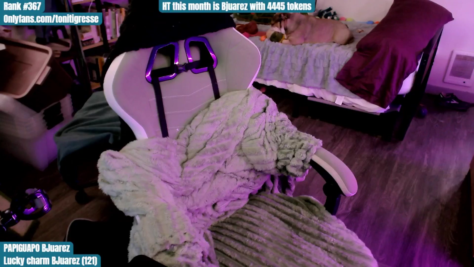 Gallery image thumbnail from ToniTigresse's myfreecams stream on, 08/24/2025, 01:48 image 20 of 20