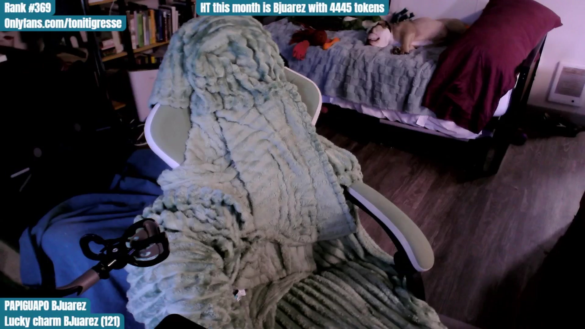 Gallery image thumbnail from ToniTigresse's myfreecams stream on, 08/24/2025, 01:48 image 5 of 20