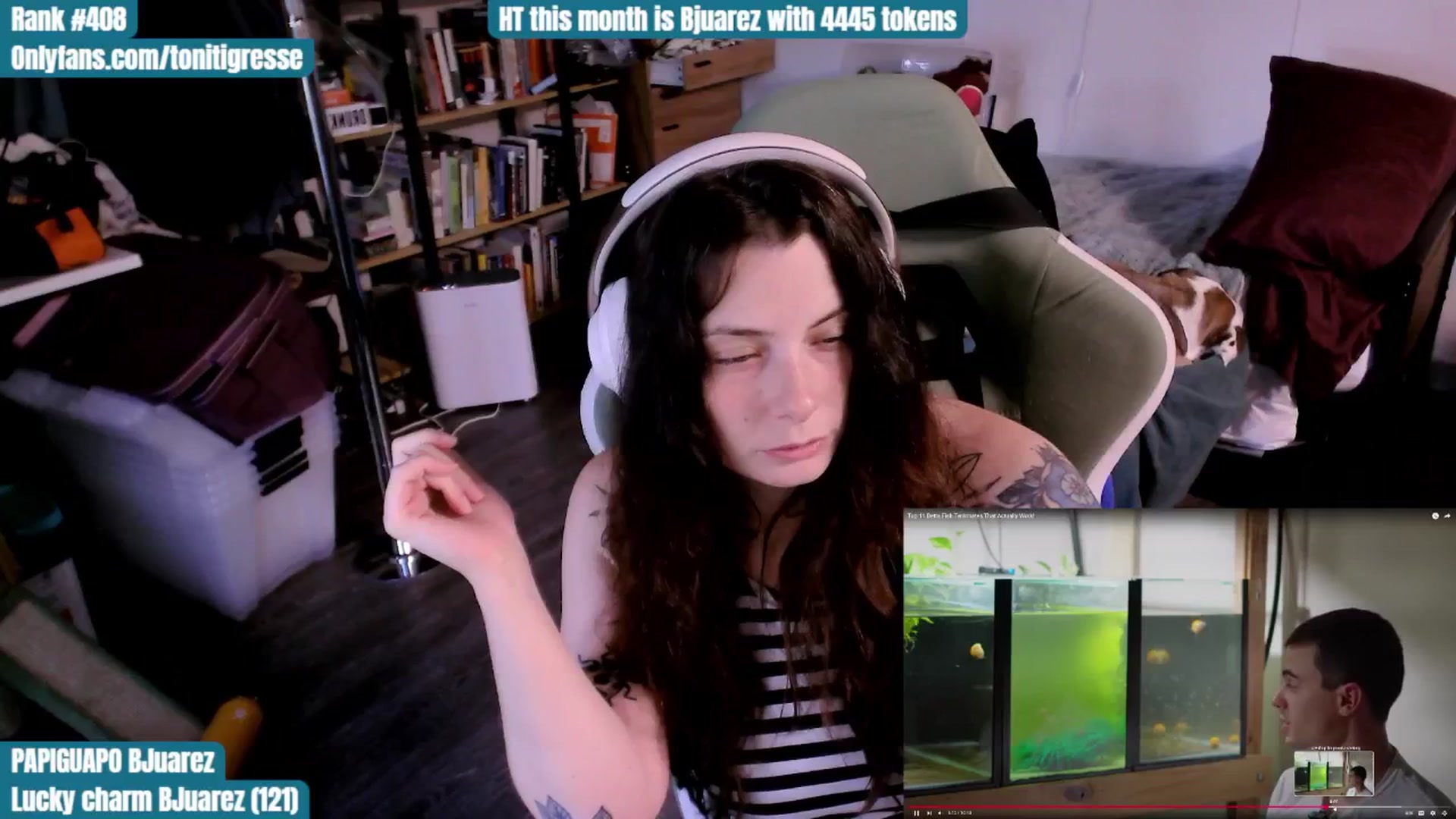 Gallery image thumbnail from ToniTigresse's myfreecams stream on, 08/26/2025, 24:59 image 10 of 20