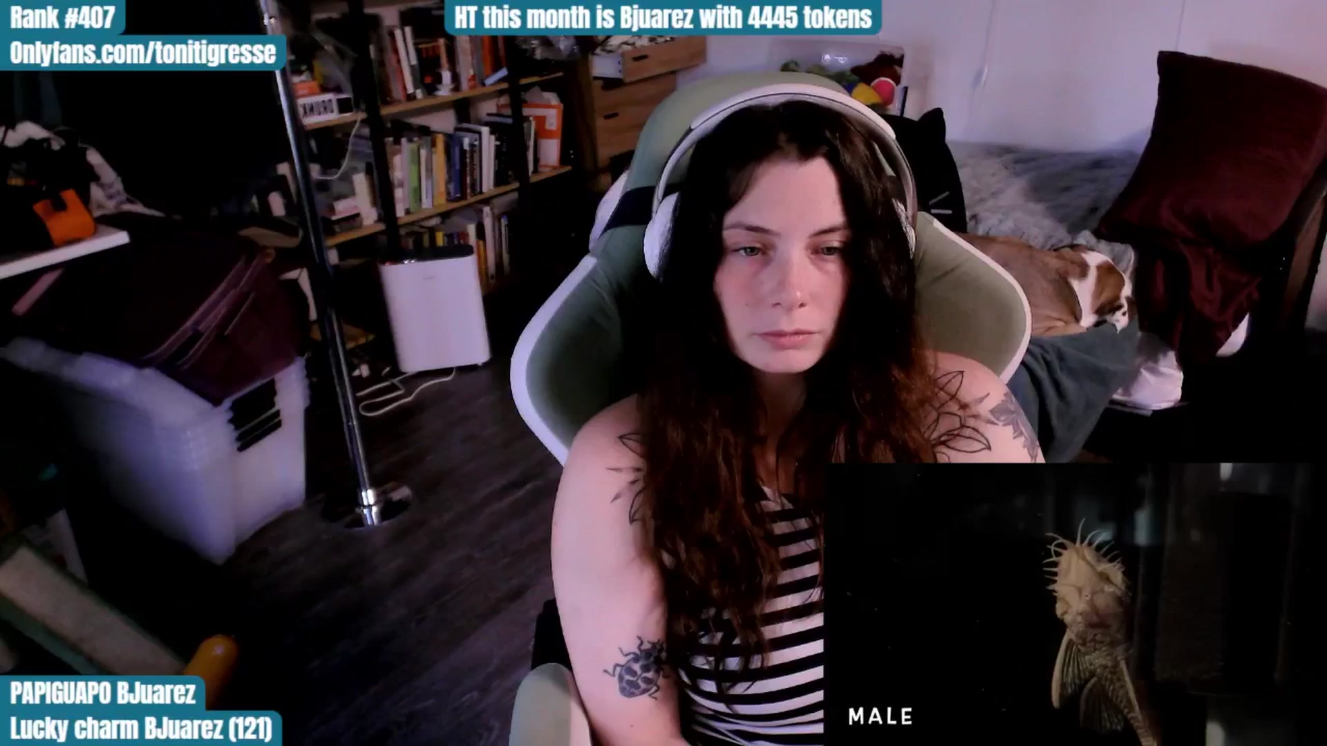 Gallery image thumbnail from ToniTigresse's myfreecams stream on, 08/26/2025, 24:59 image 5 of 20
