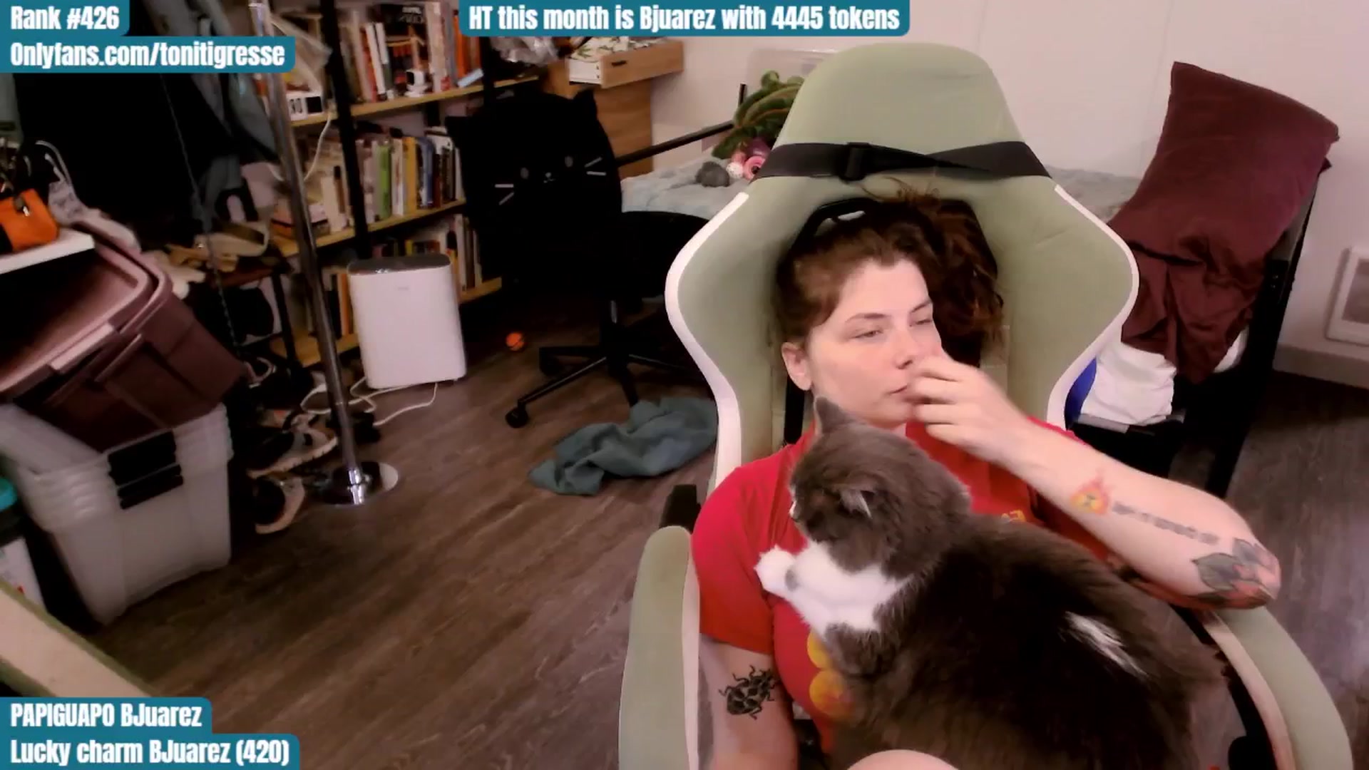Gallery image thumbnail from ToniTigresse's myfreecams stream on, 08/27/2025, 02:09 image 1 of 20
