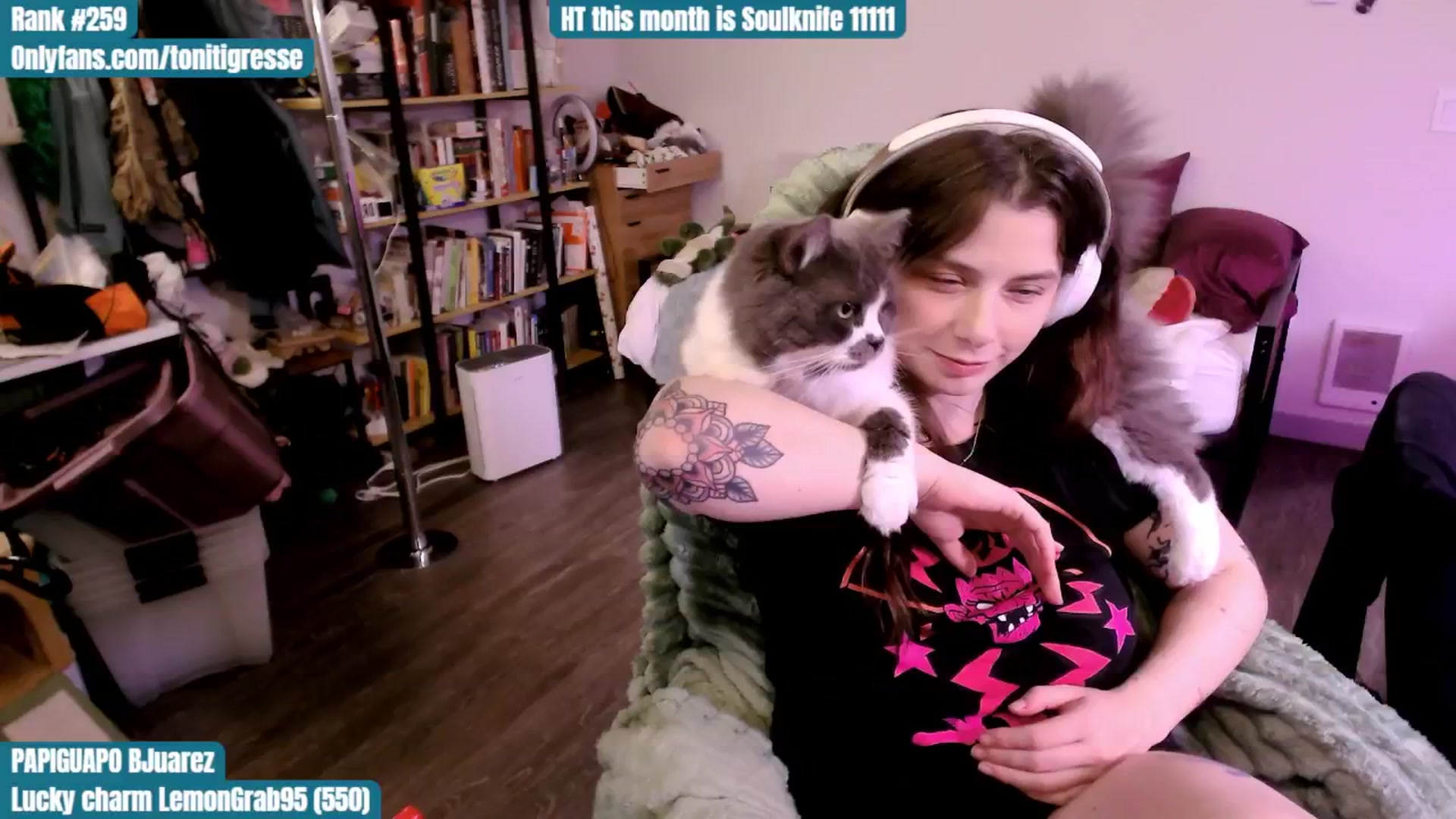 Gallery image thumbnail from ToniTigresse's myfreecams stream on, 09/04/2025, 02:10 image 13 of 20