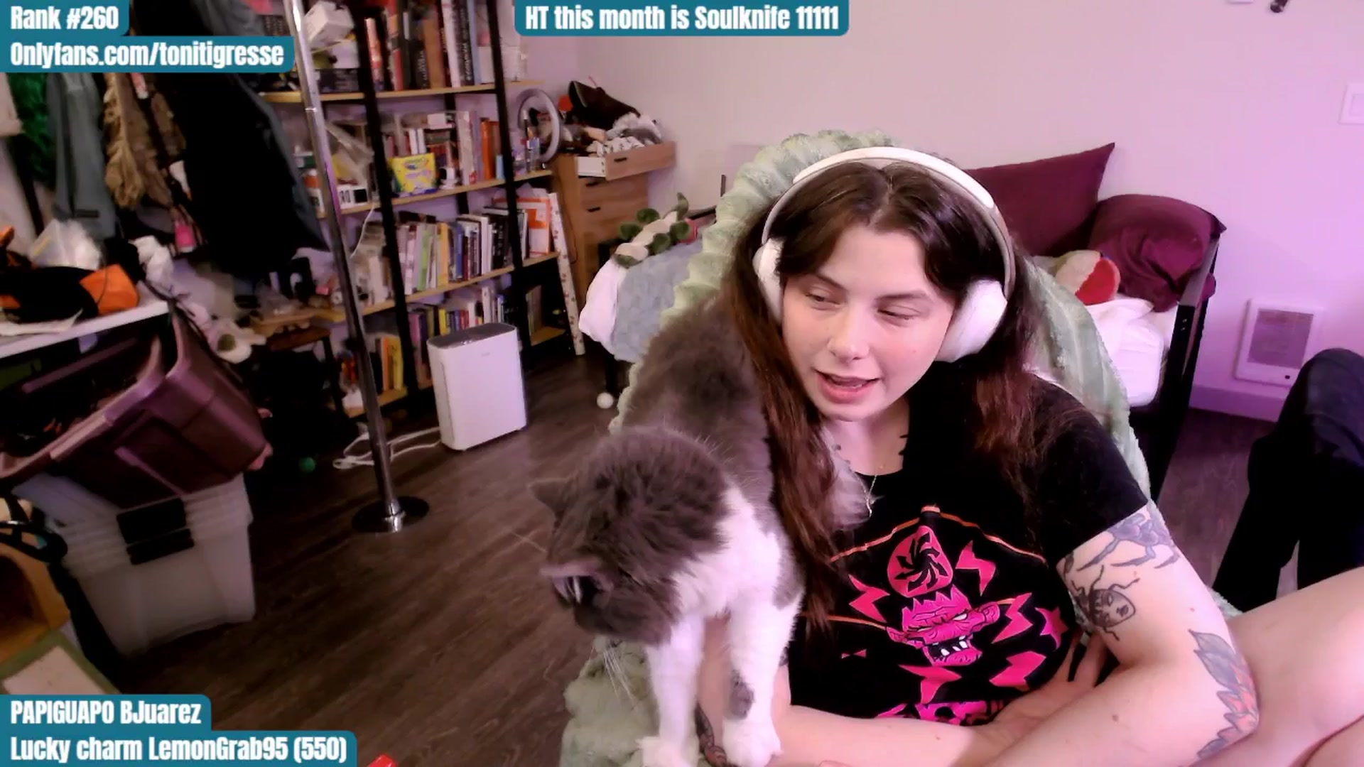 Gallery image thumbnail from ToniTigresse's myfreecams stream on, 09/04/2025, 02:10 image 14 of 20