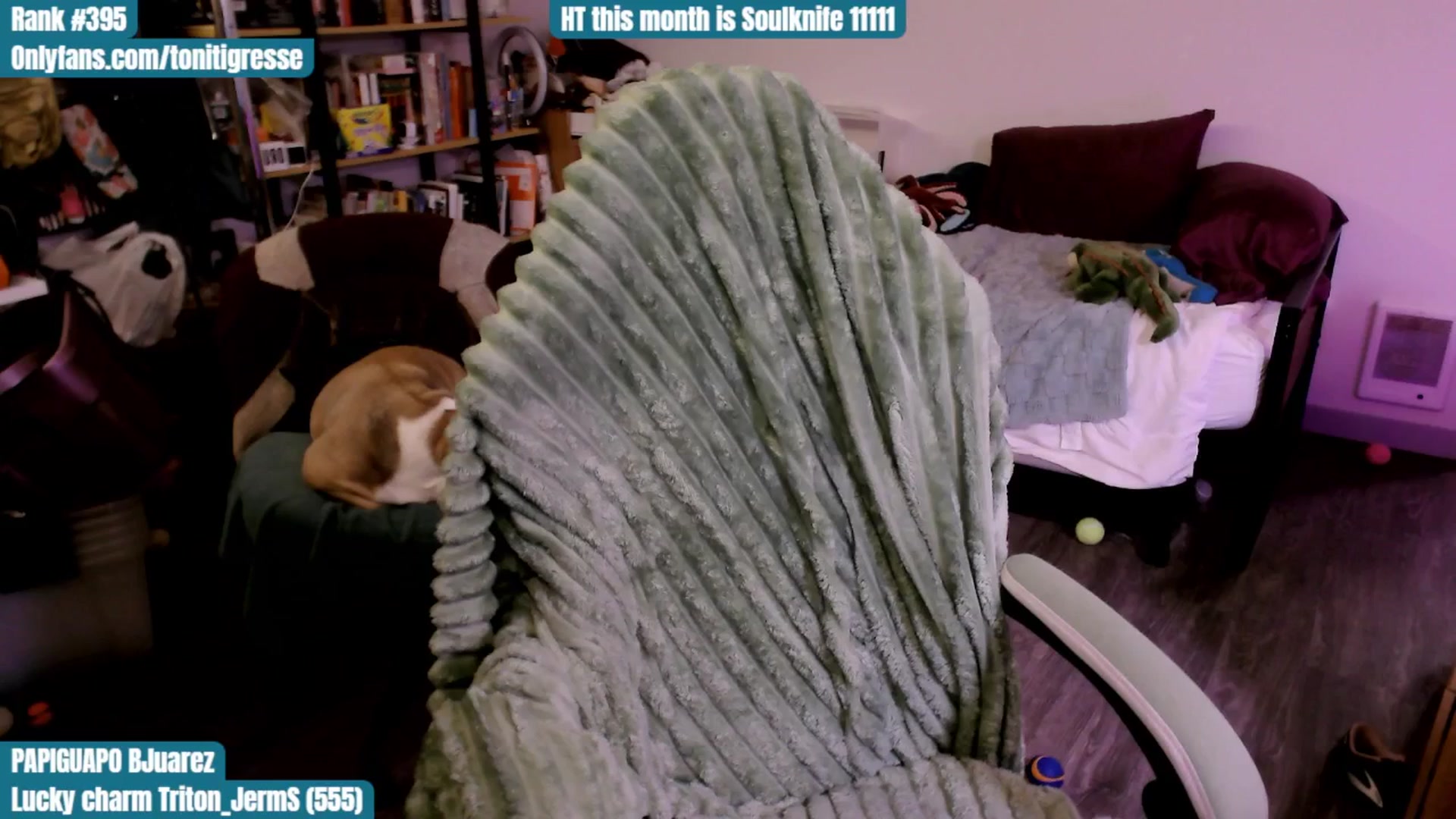 Gallery image thumbnail from ToniTigresse's myfreecams stream on, 09/07/2025, 01:49 image 20 of 20