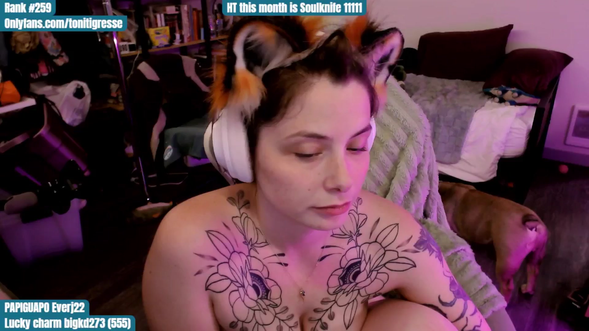 Gallery image thumbnail from ToniTigresse's myfreecams stream on, 09/08/2025, 03:15 image 9 of 20