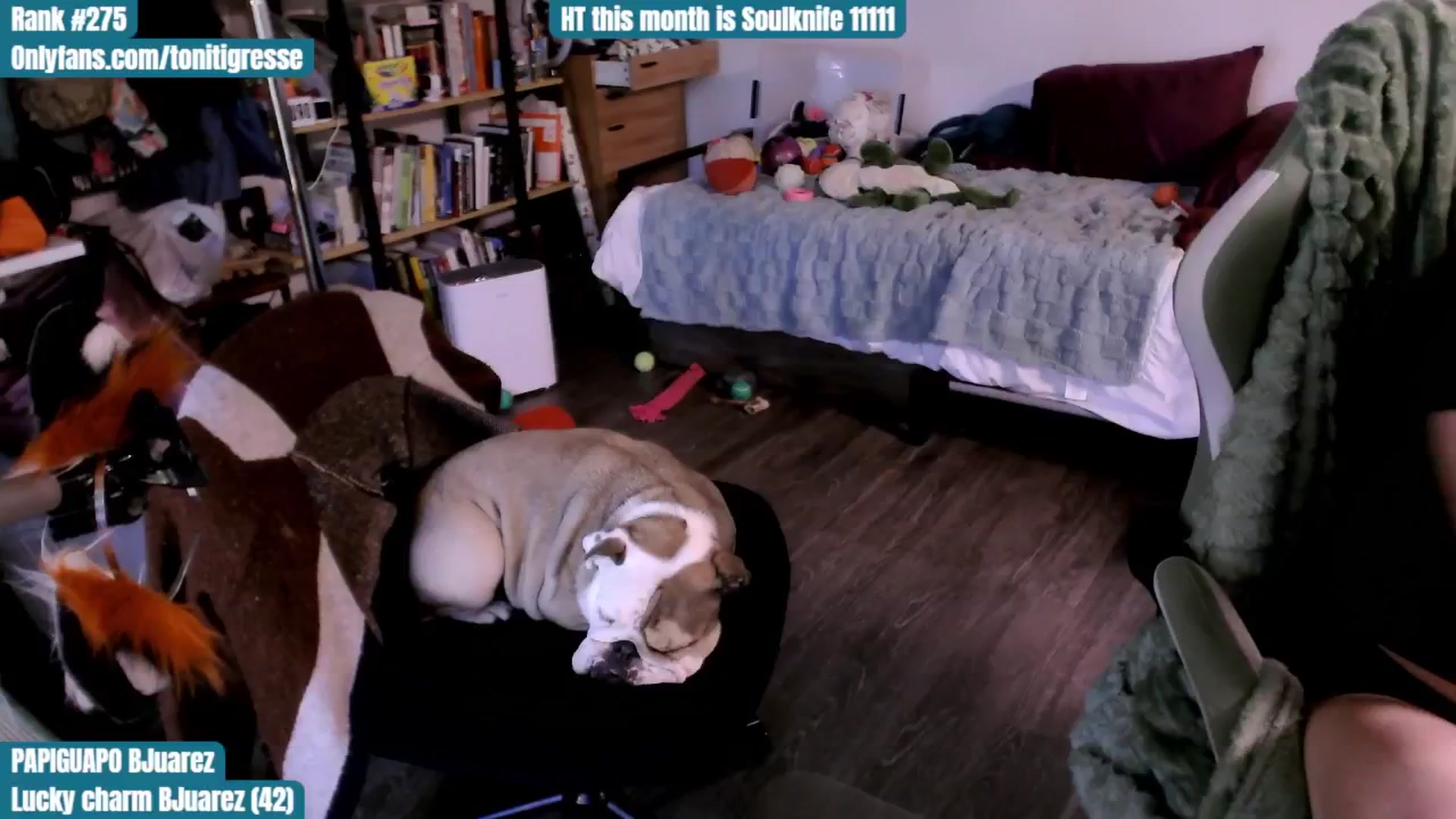 Gallery image thumbnail from ToniTigresse's myfreecams stream on, 09/09/2025, 24:44 image 3 of 20