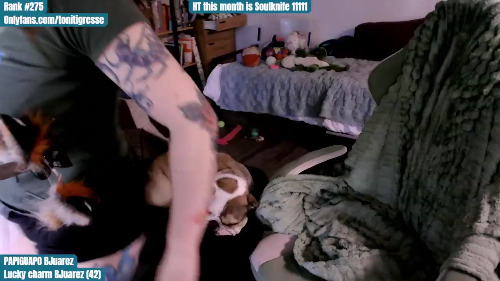 Gallery image thumbnail from ToniTigresse's myfreecams stream on, 09/09/2025, 24:44 image 4 of 20