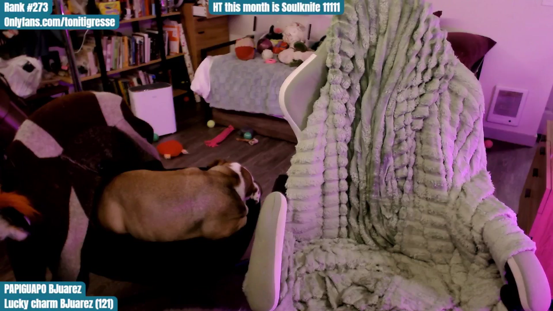Gallery image thumbnail from ToniTigresse's myfreecams stream on, 09/09/2025, 24:44 image 18 of 20